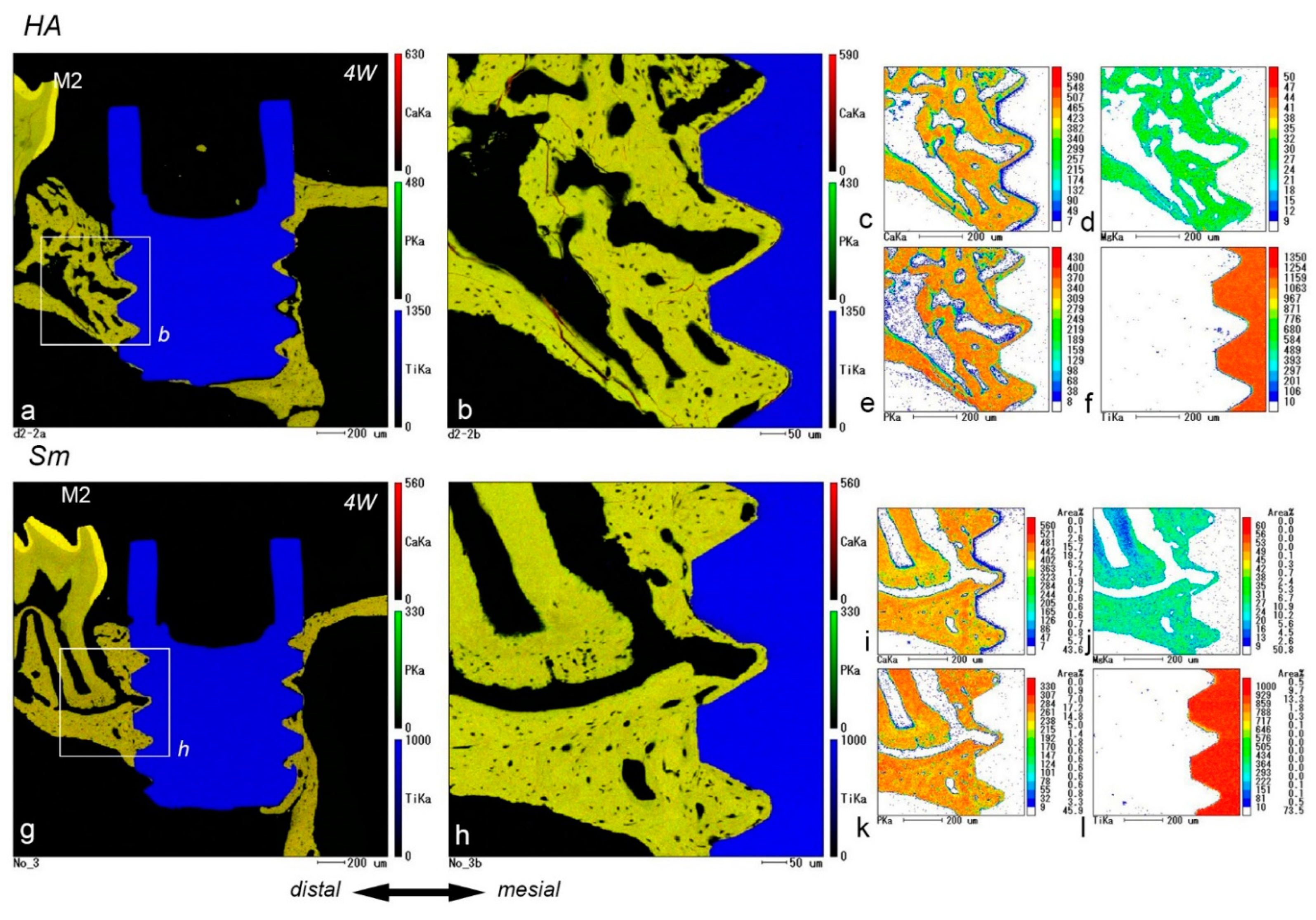 Ijms 24 03124 g005 550