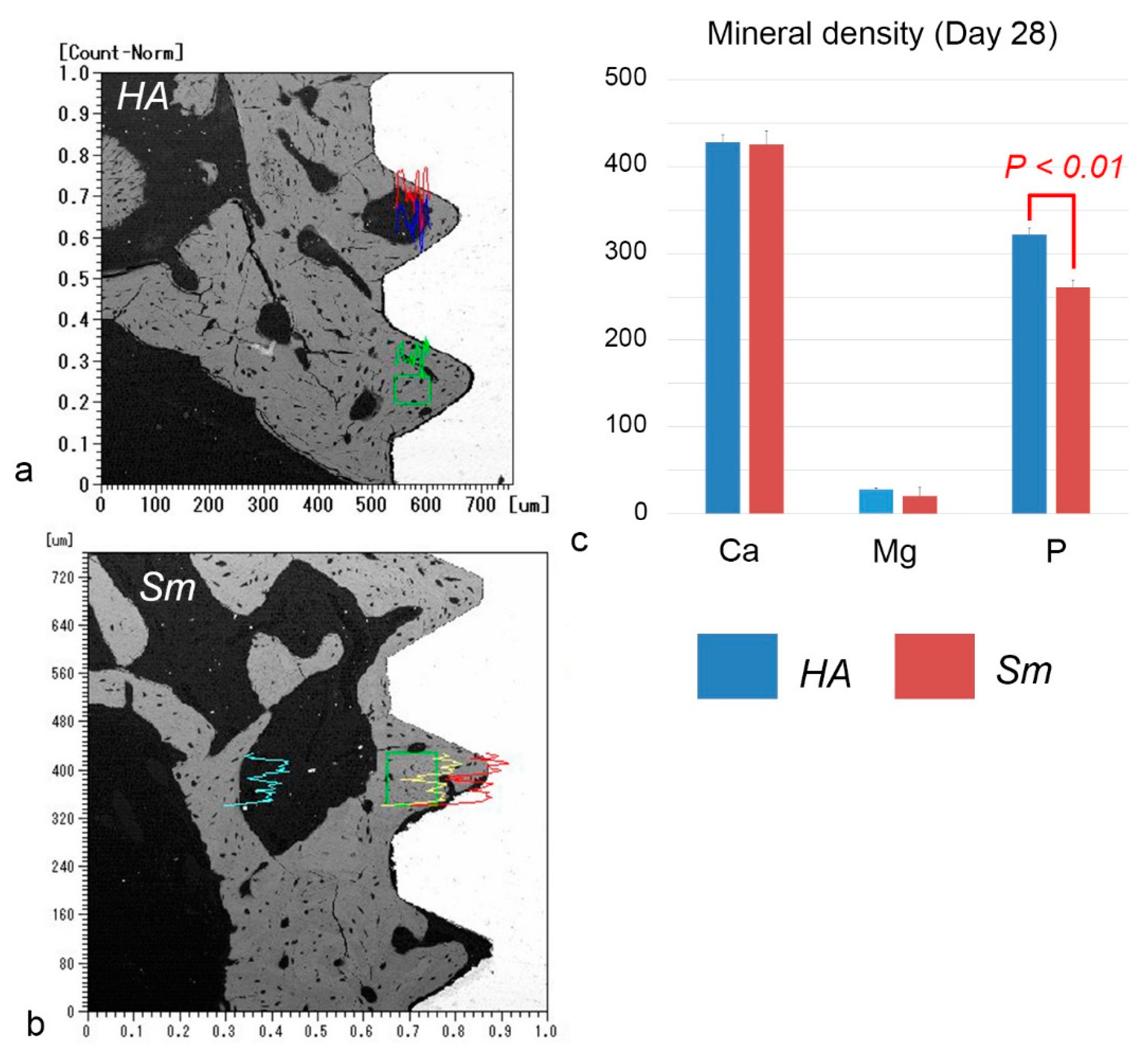 Ijms 24 03124 g006 550