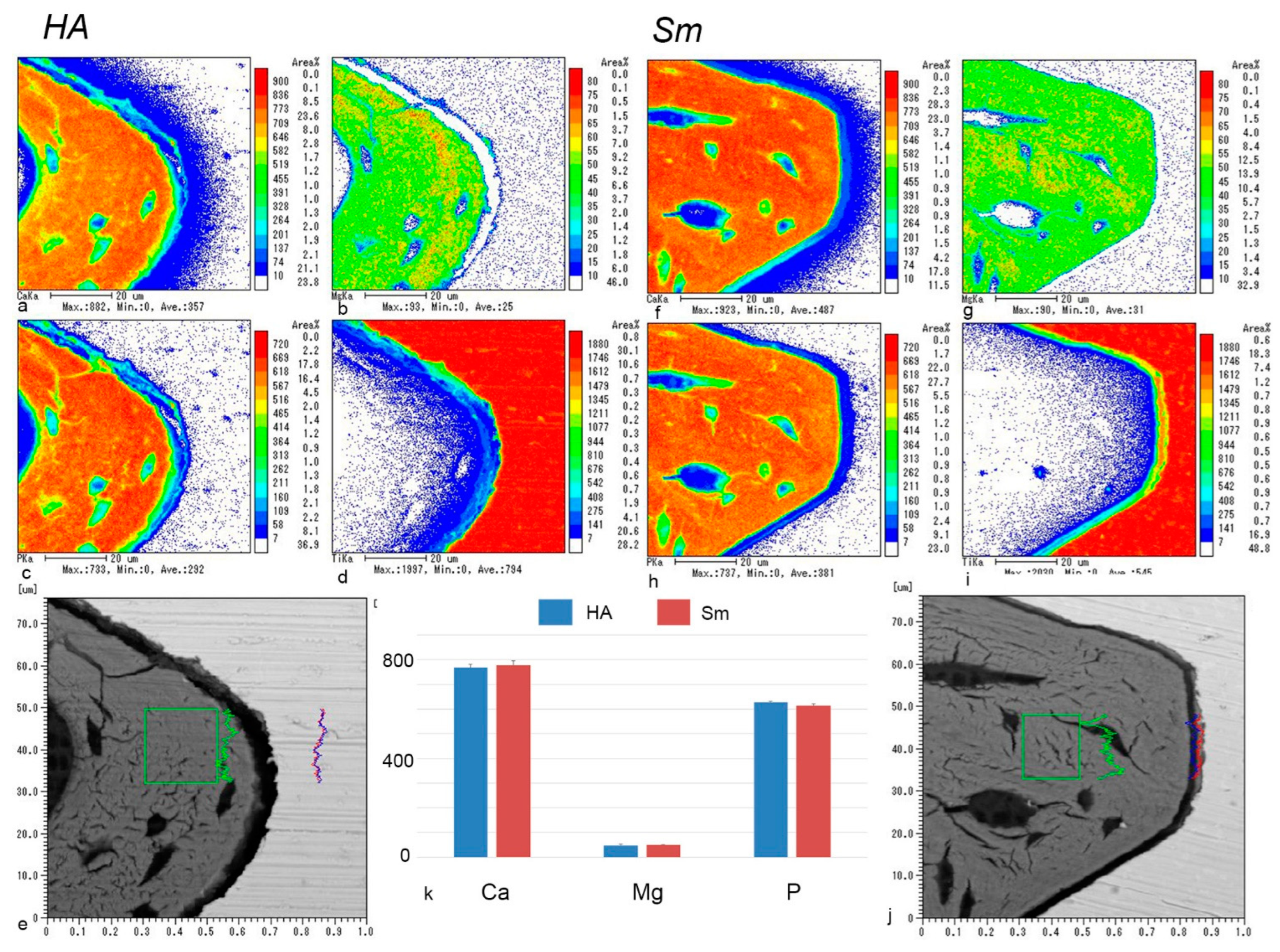 Ijms 24 03124 g007 550