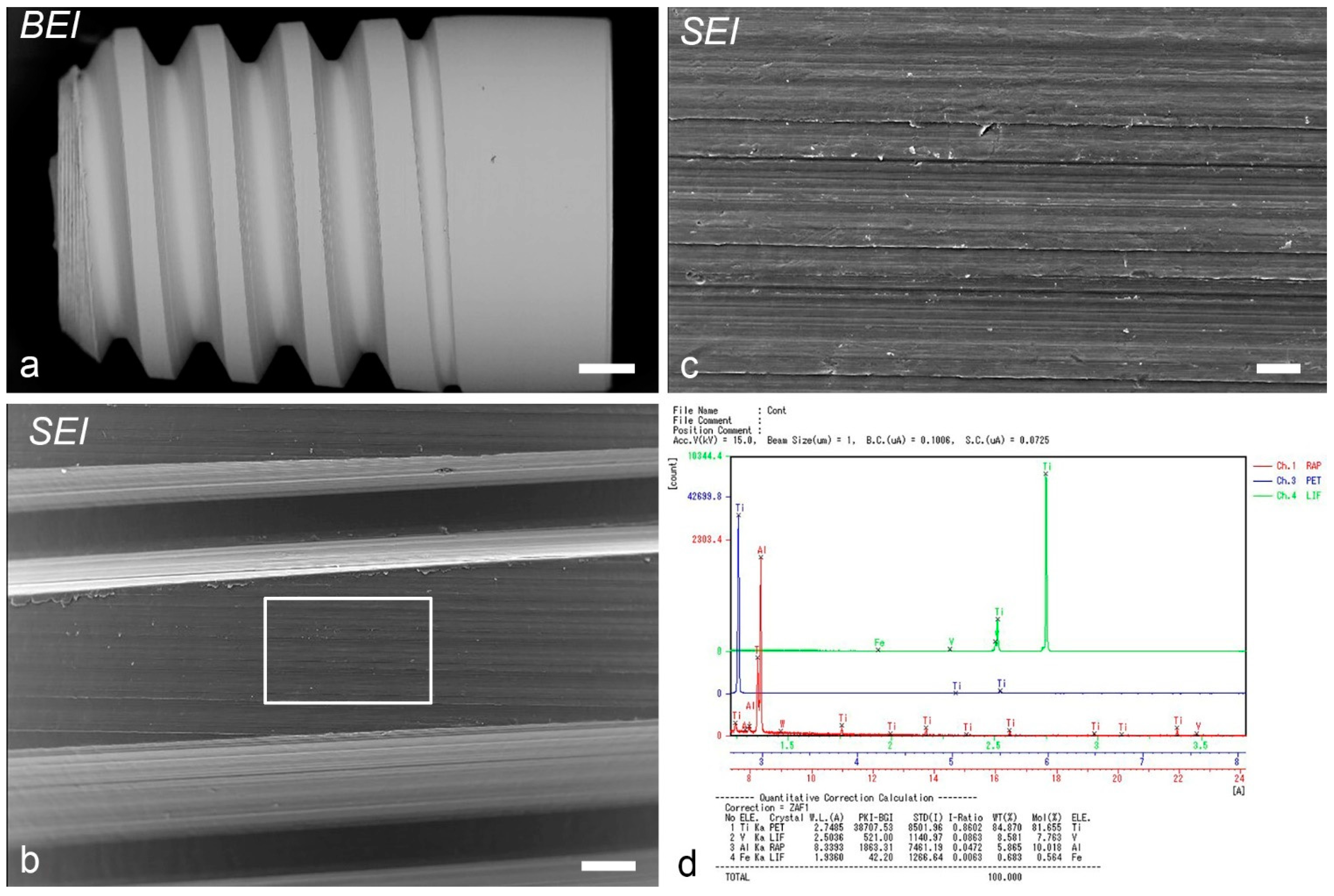 Ijms 24 03124 g008 550