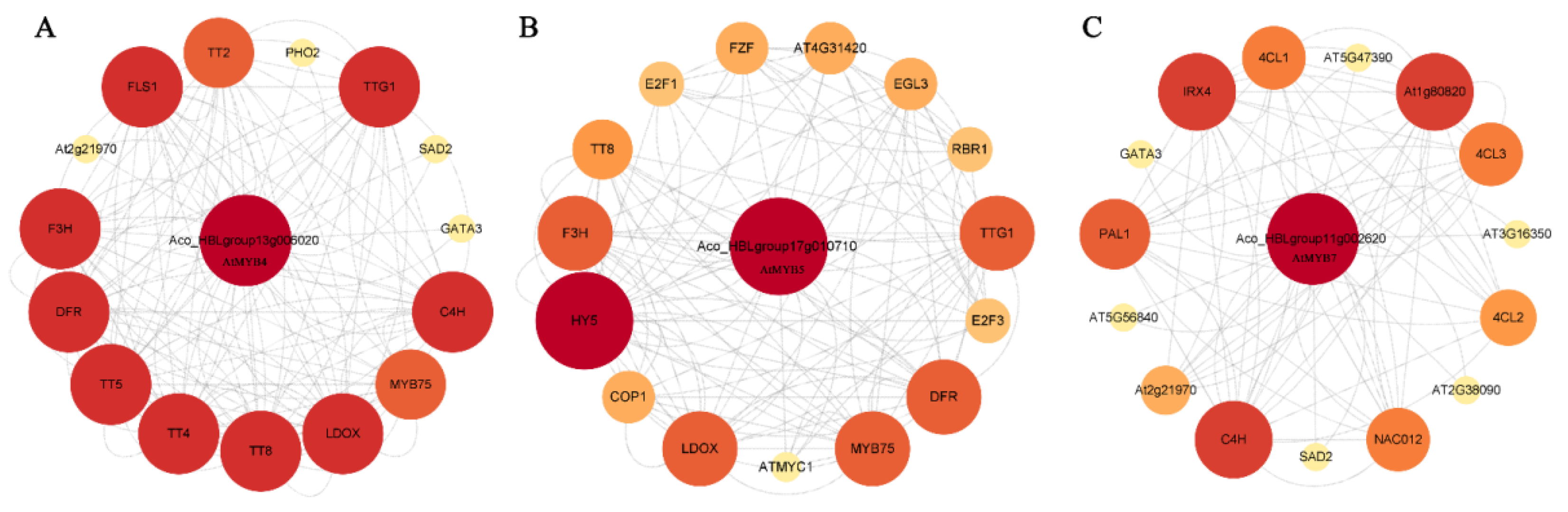 Ijms 24 03133 g005 Ijms 24 03133 g005