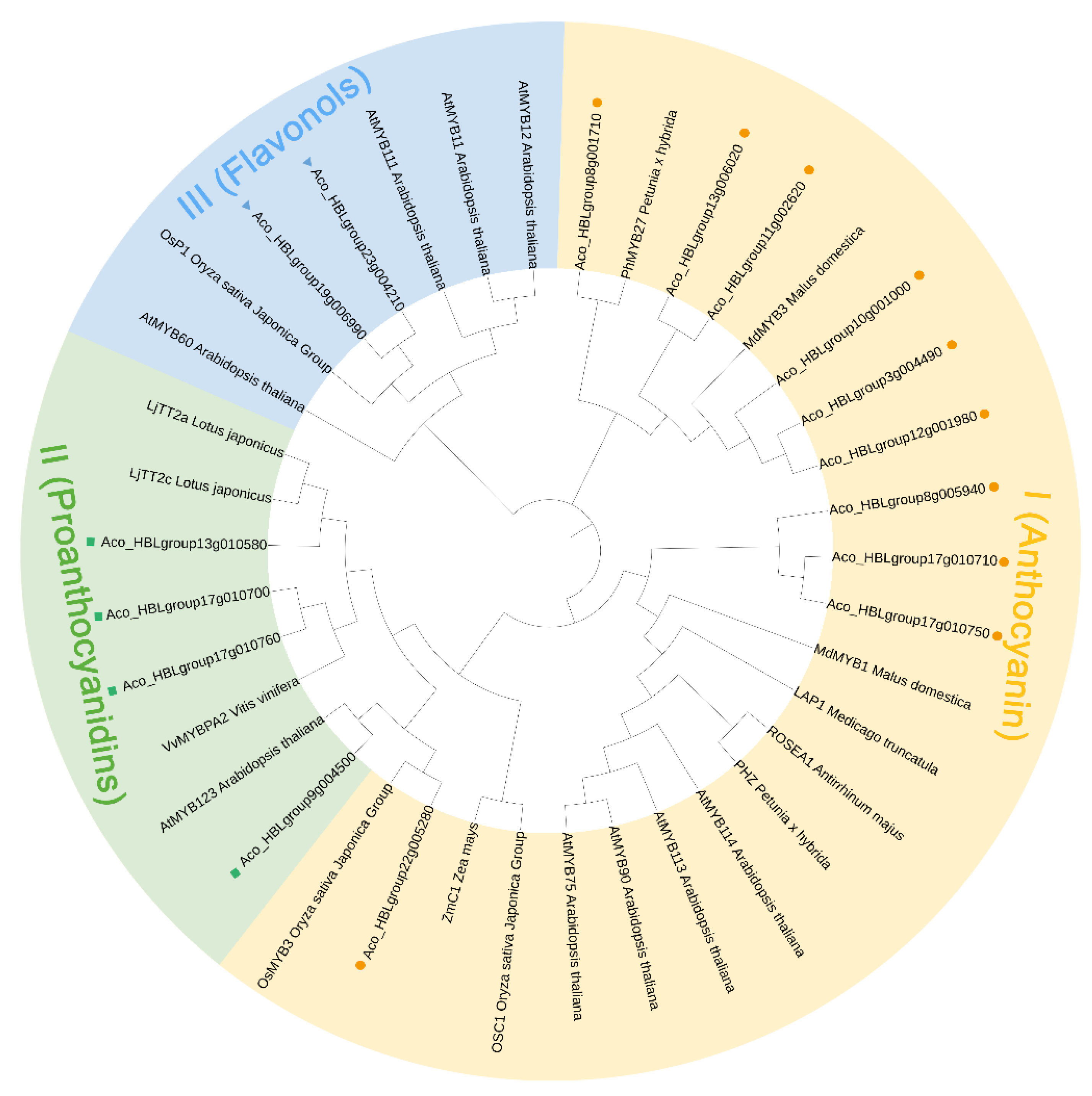 Ijms 24 03133 g006 Ijms 24 03133 g006