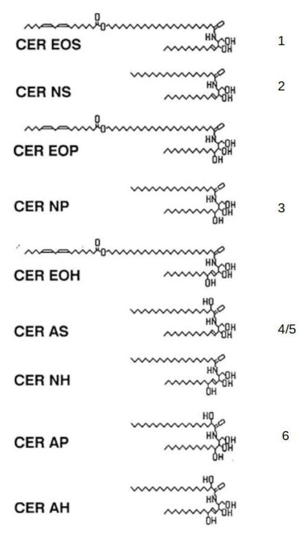 Ijms 24 03145 g002 Ijms 24 03145 g002