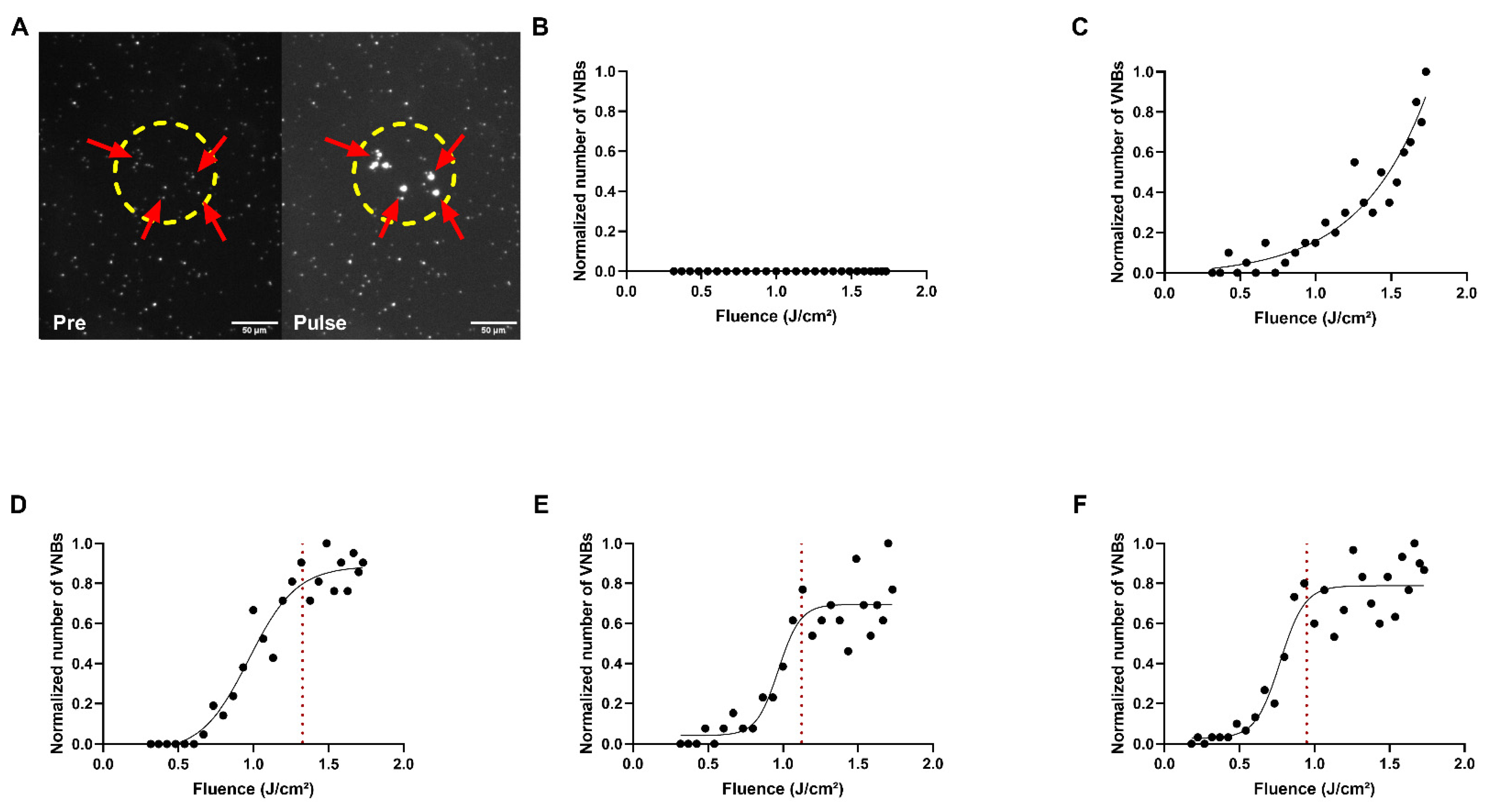 Ijms 24 03147 g003 Ijms 24 03147 g003