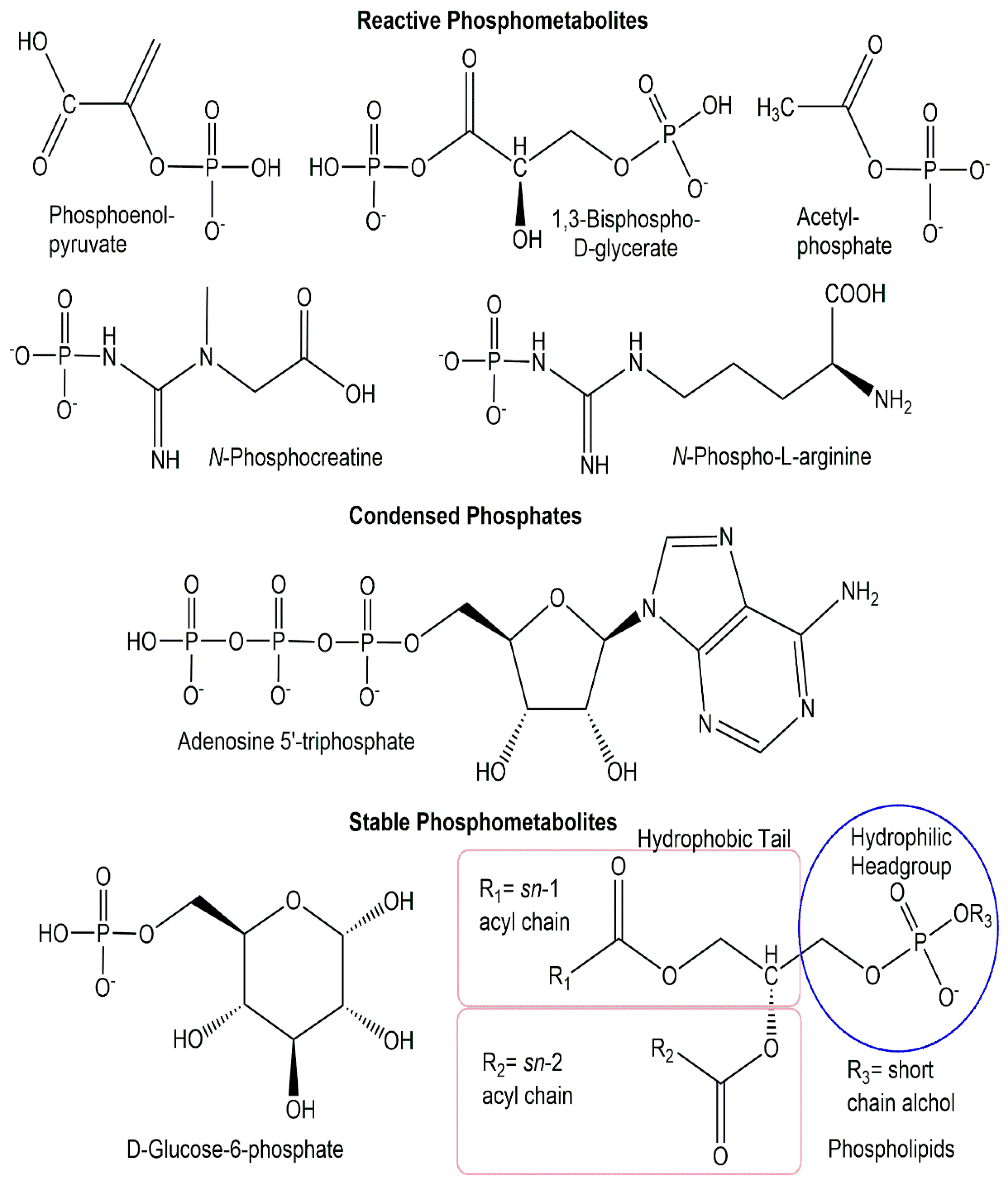 Ijms 24 03150 g002 Ijms 24 03150 g002