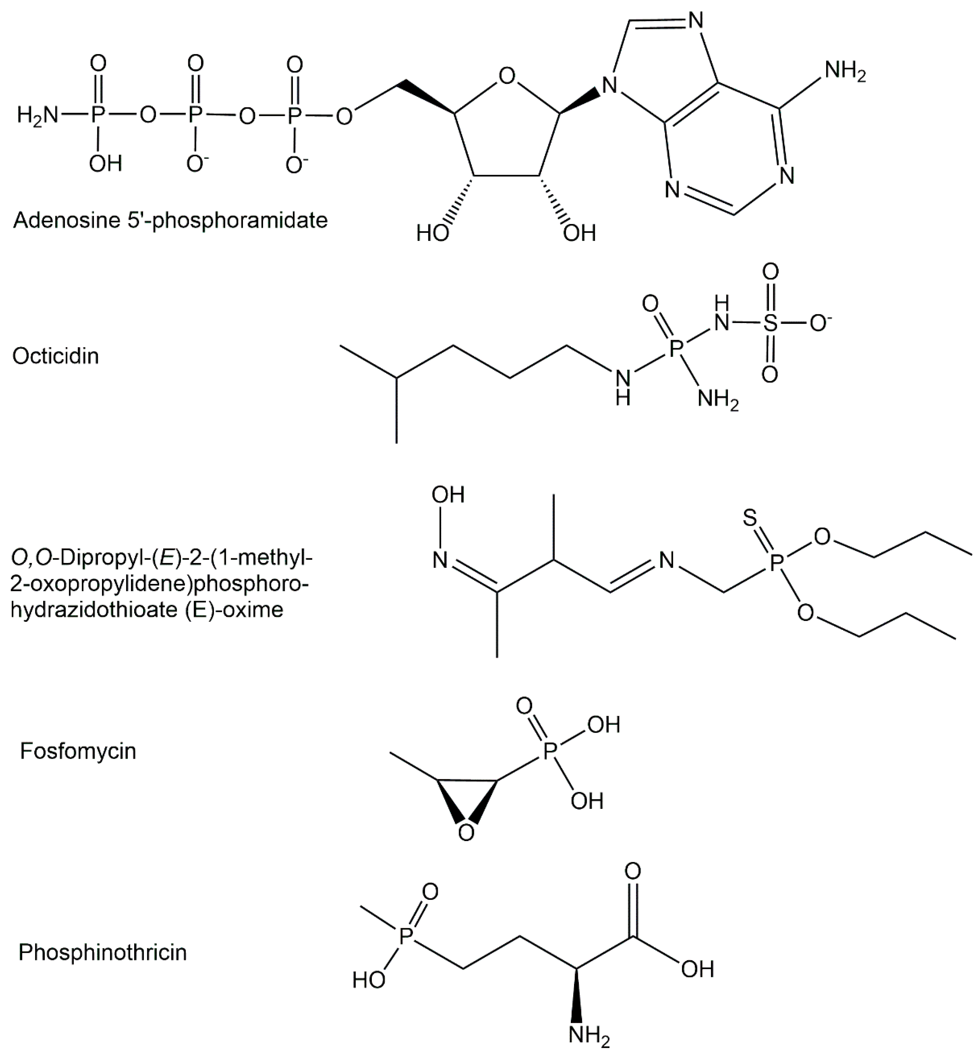 Ijms 24 03150 g003 Ijms 24 03150 g003