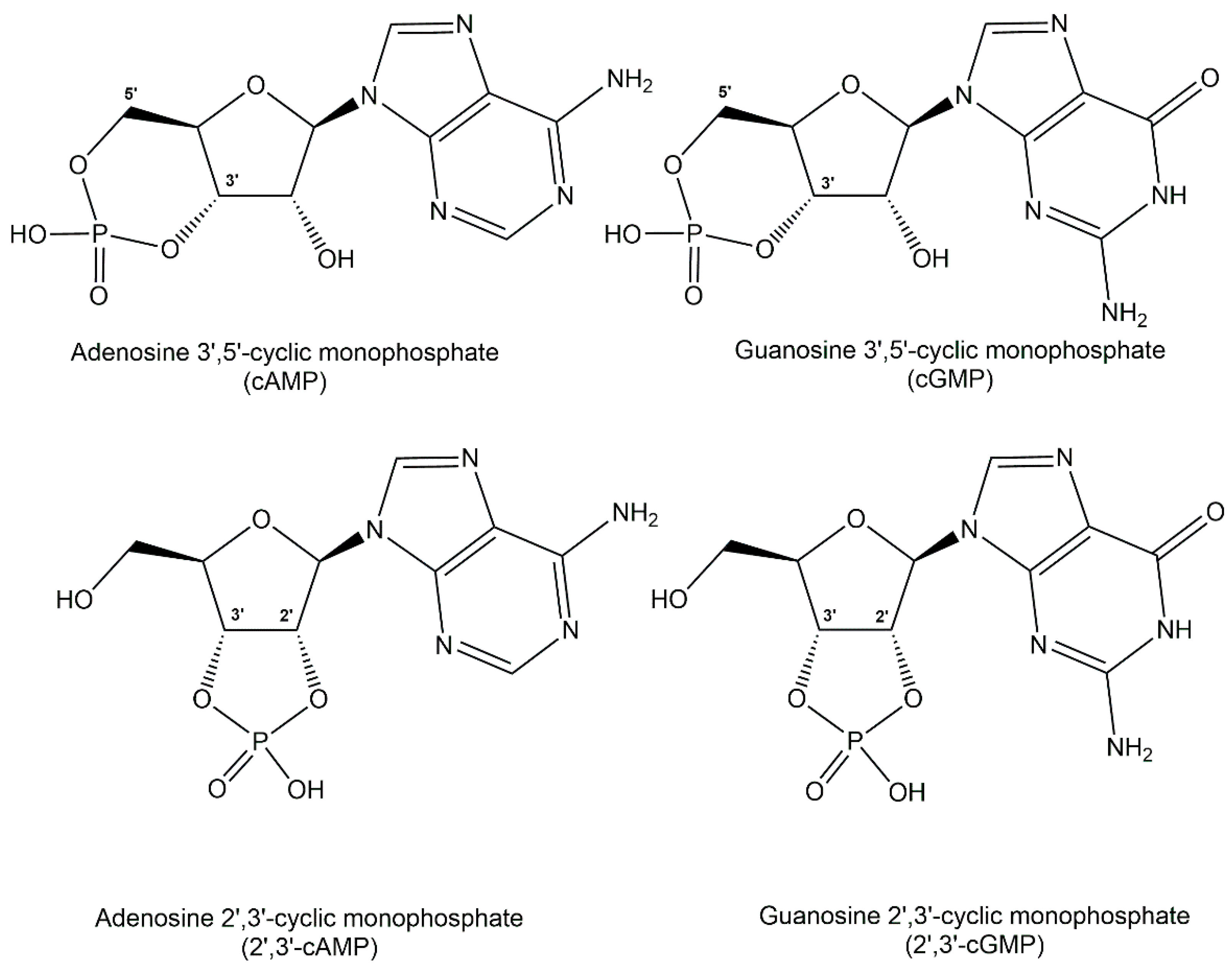 Ijms 24 03150 g008 Ijms 24 03150 g008