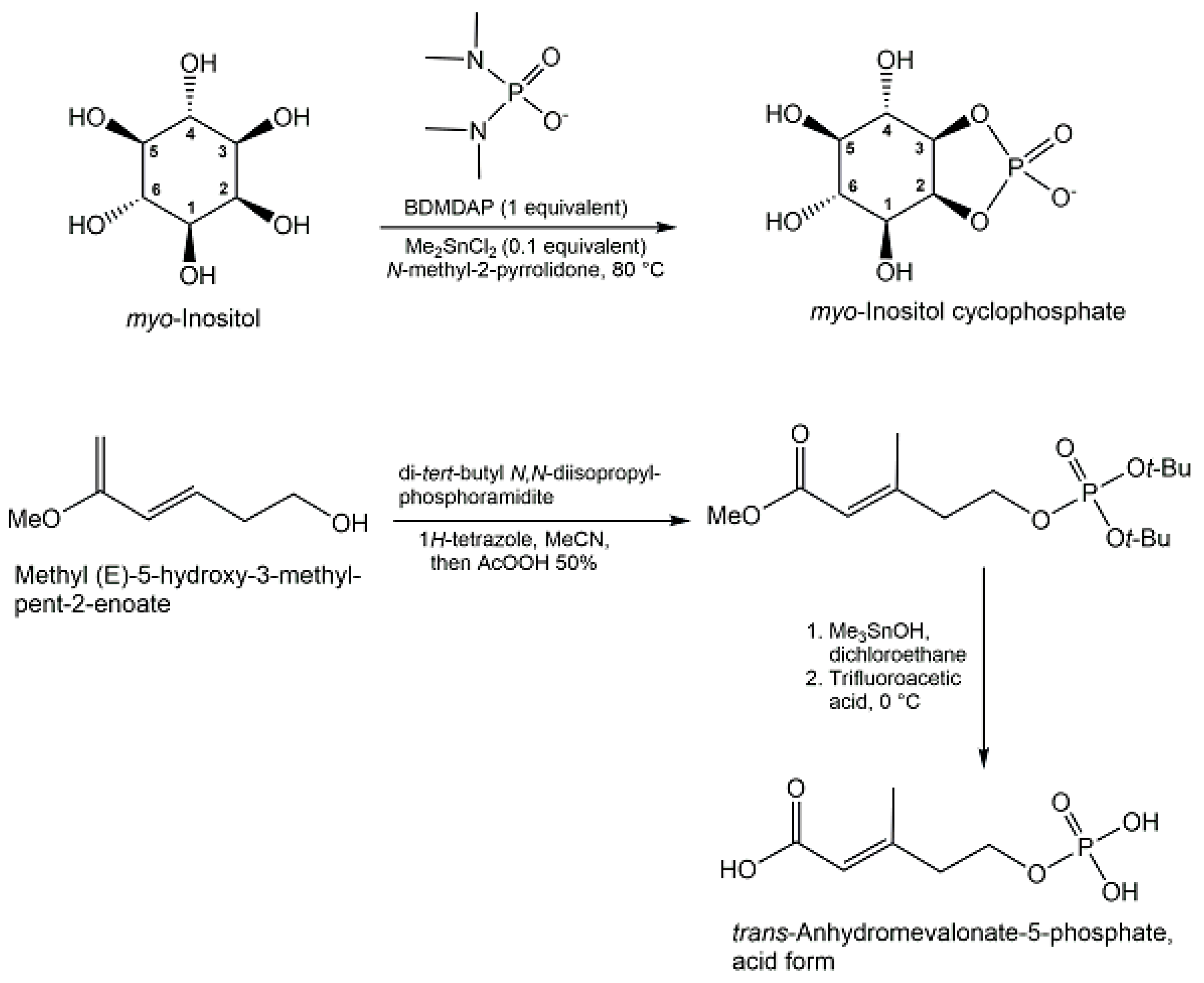 Ijms 24 03150 g015 Ijms 24 03150 g015