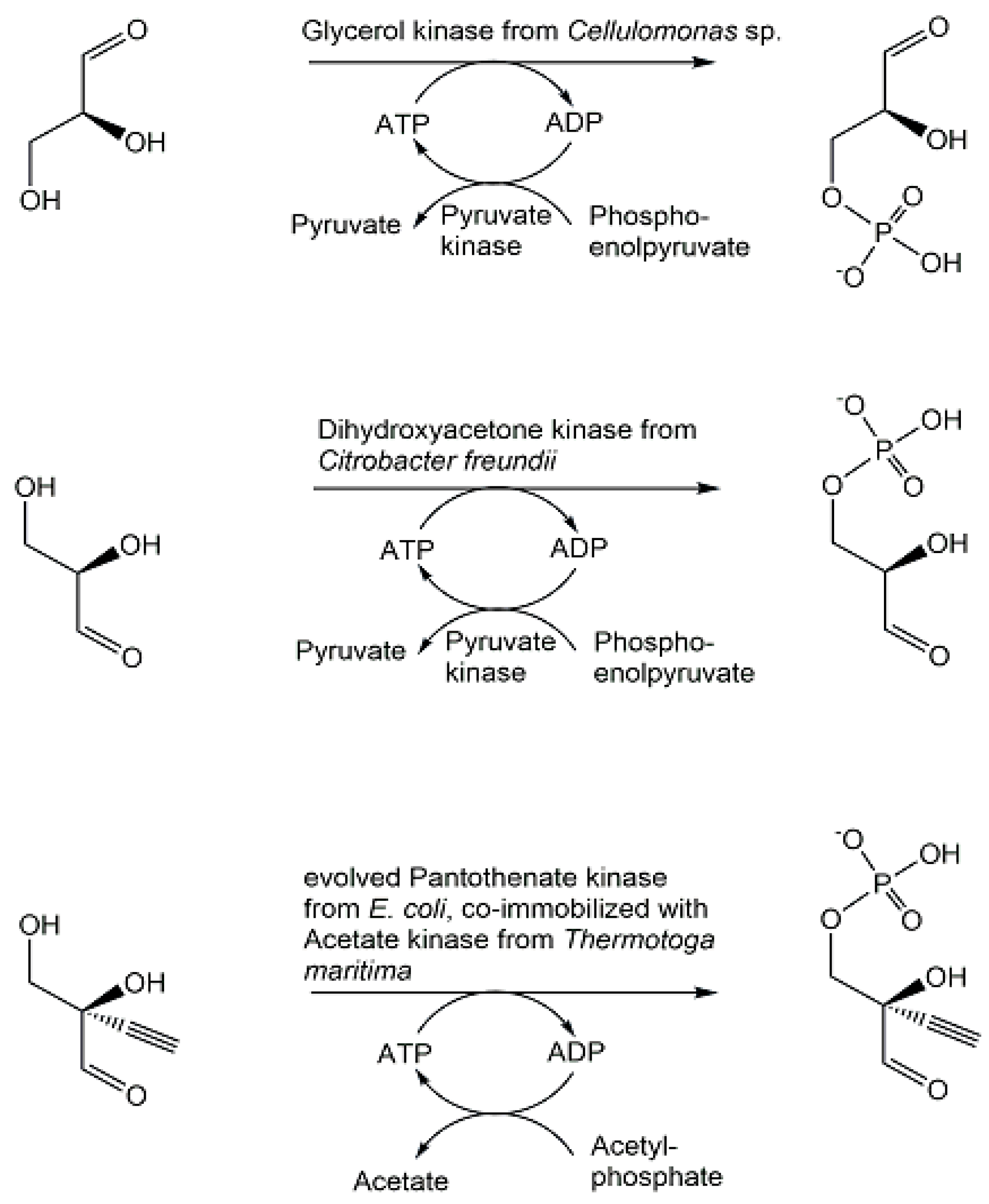Ijms 24 03150 g017 Ijms 24 03150 g017