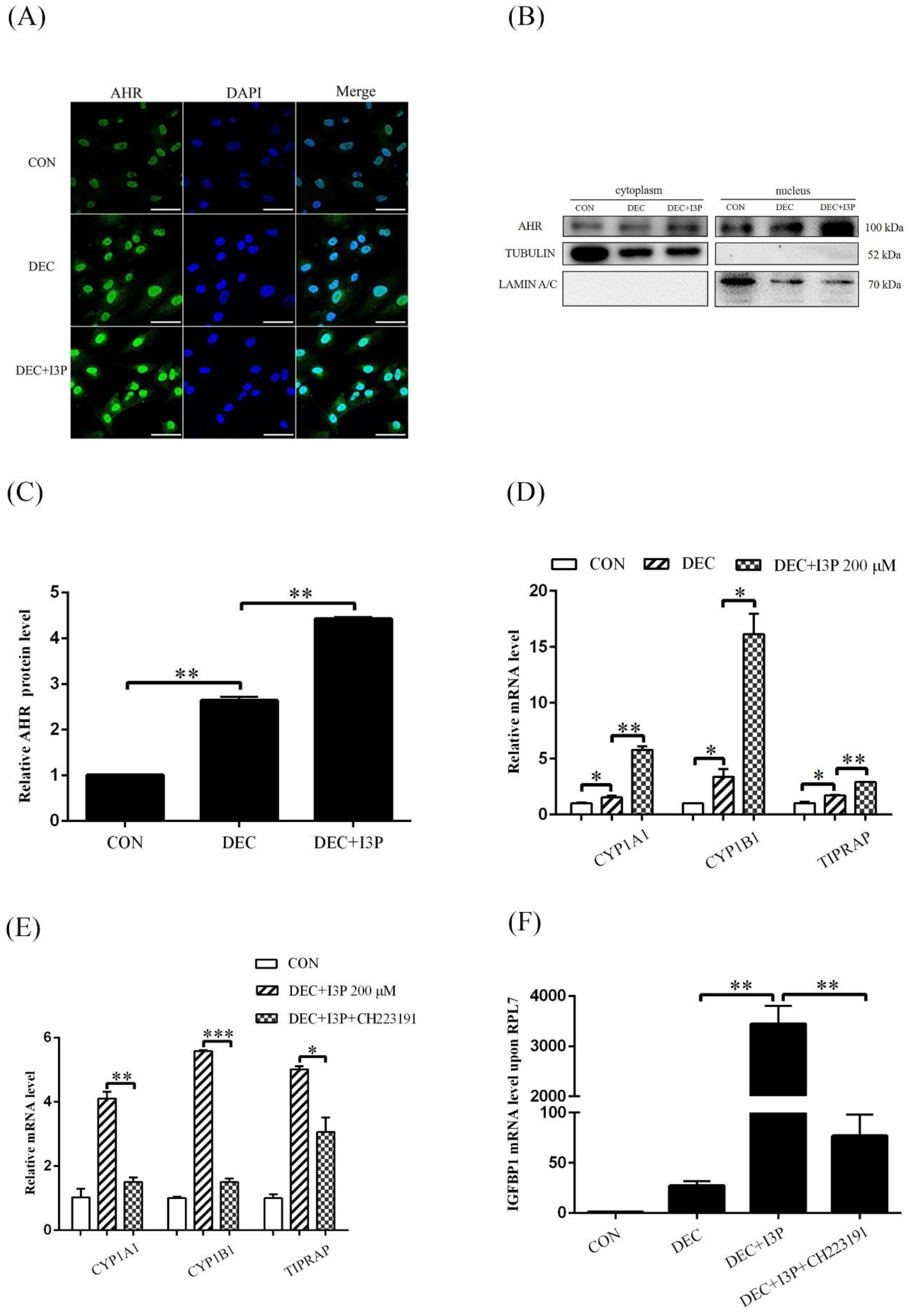 Ijms 24 03163 g002 Ijms 24 03163 g002