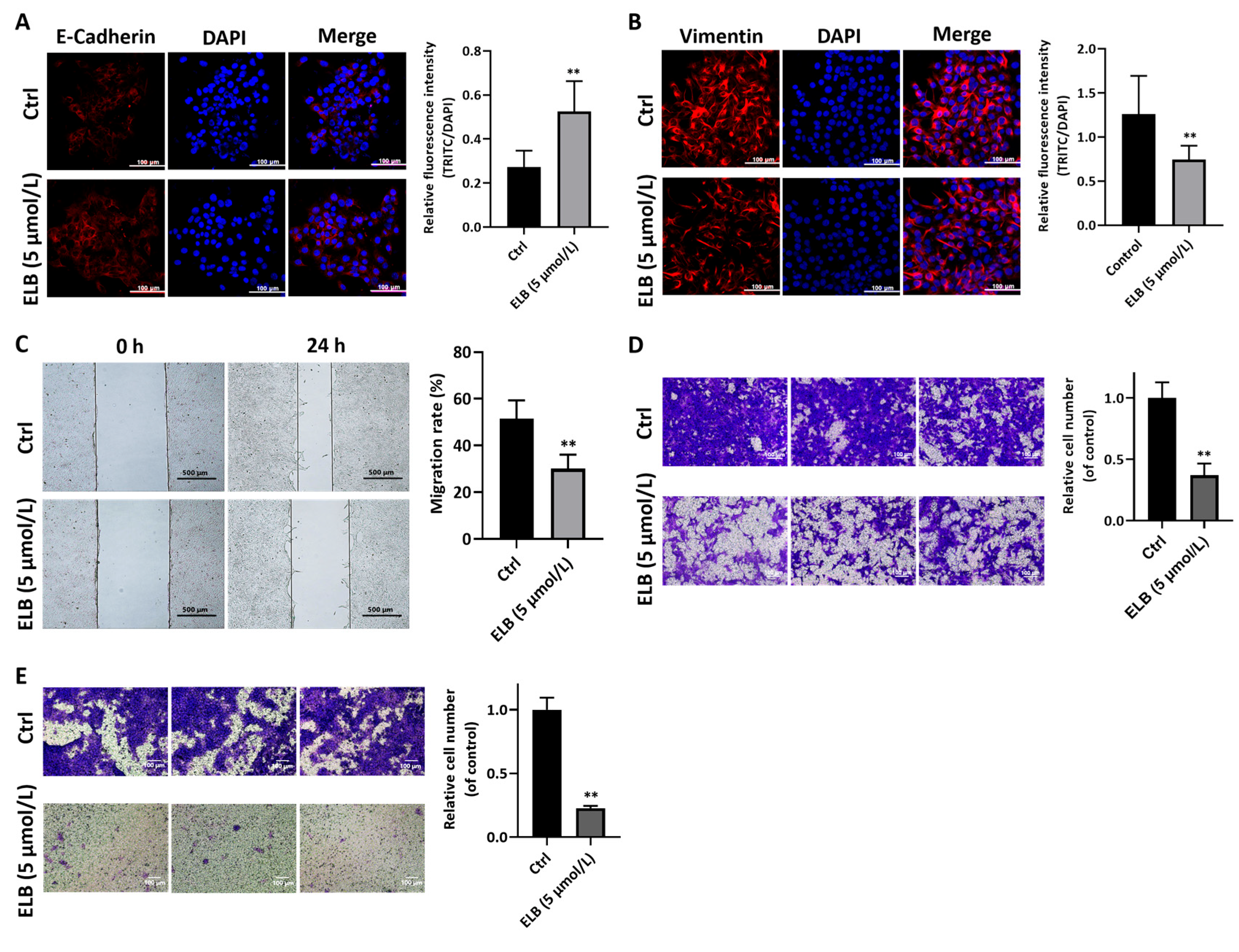 Ijms 24 03164 g002 Ijms 24 03164 g002