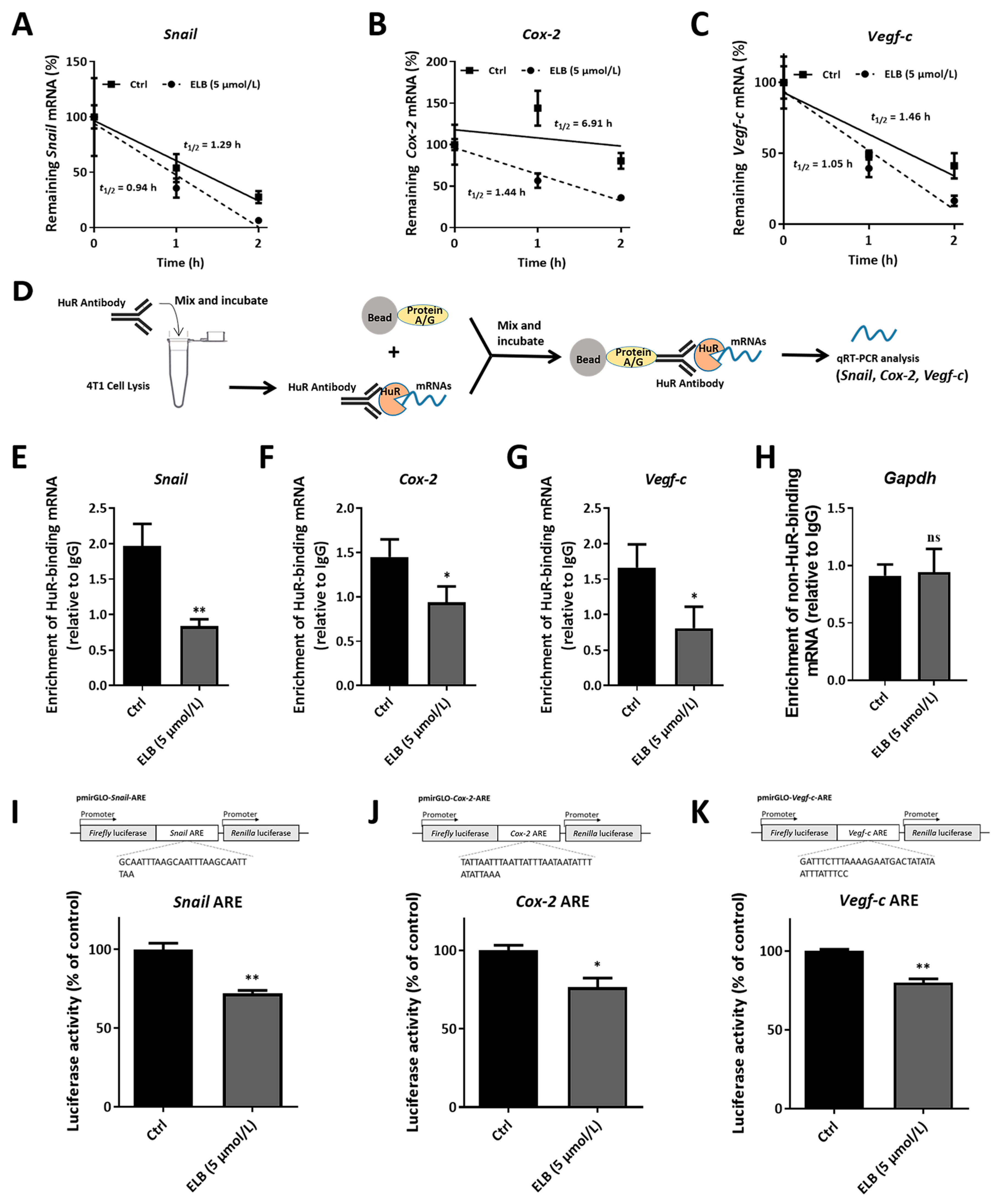 Ijms 24 03164 g005 Ijms 24 03164 g005