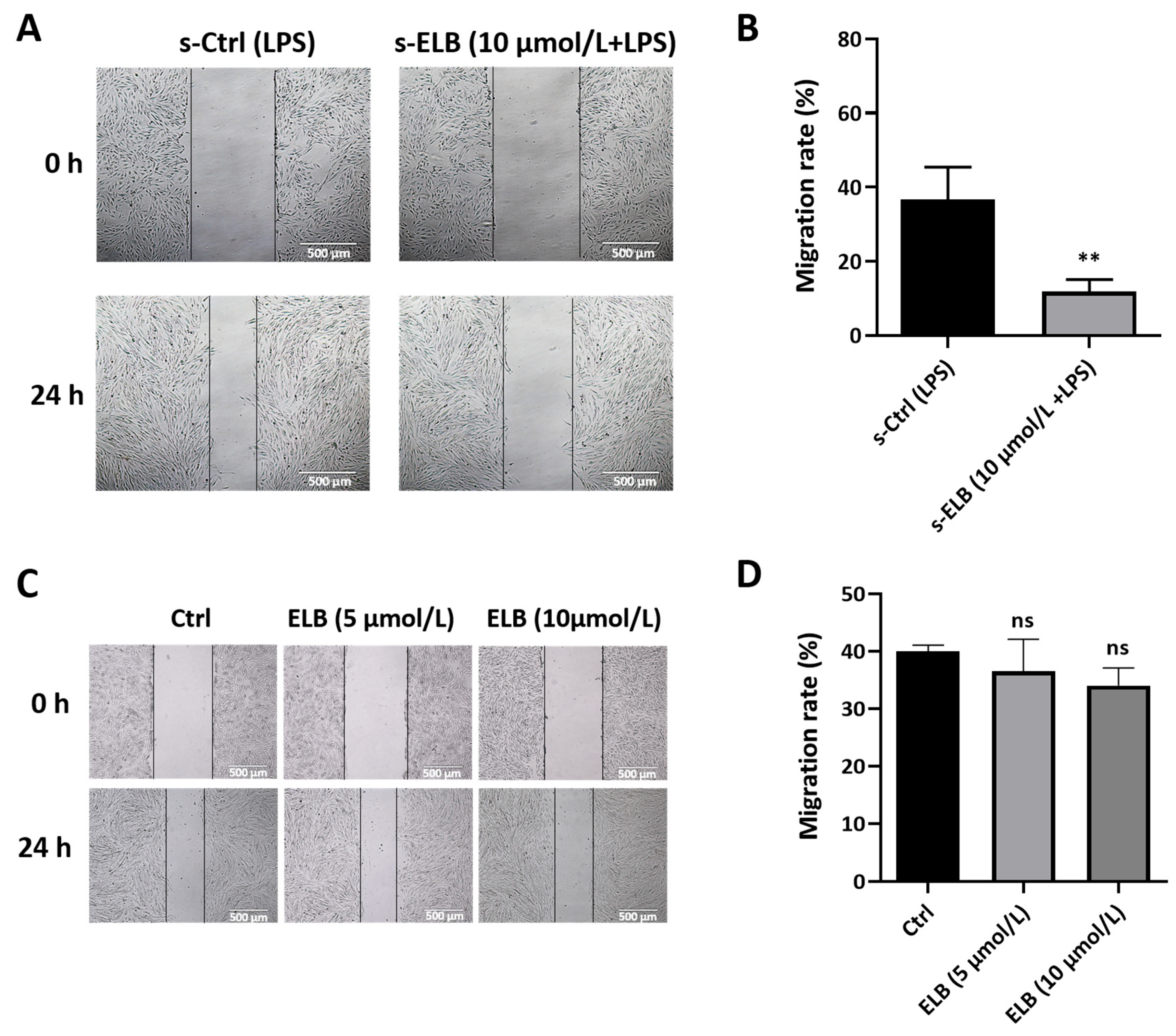 Ijms 24 03164 g007 Ijms 24 03164 g007