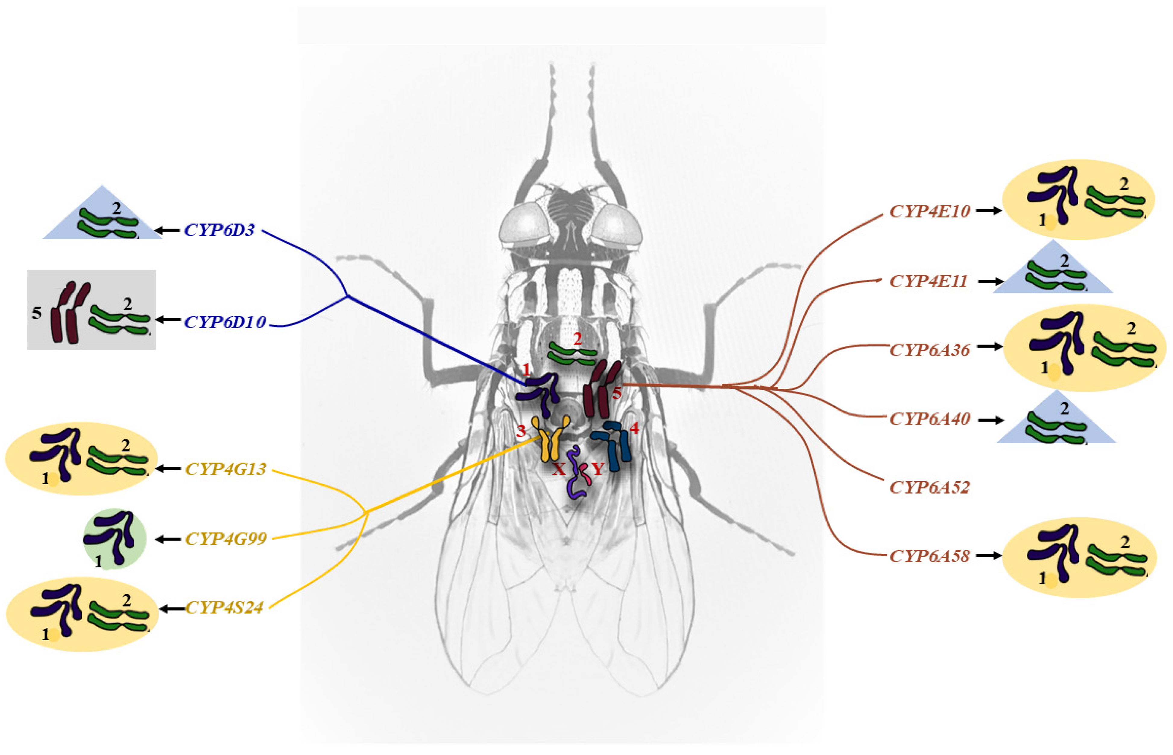 Ijms 24 03170 g002 Ijms 24 03170 g002