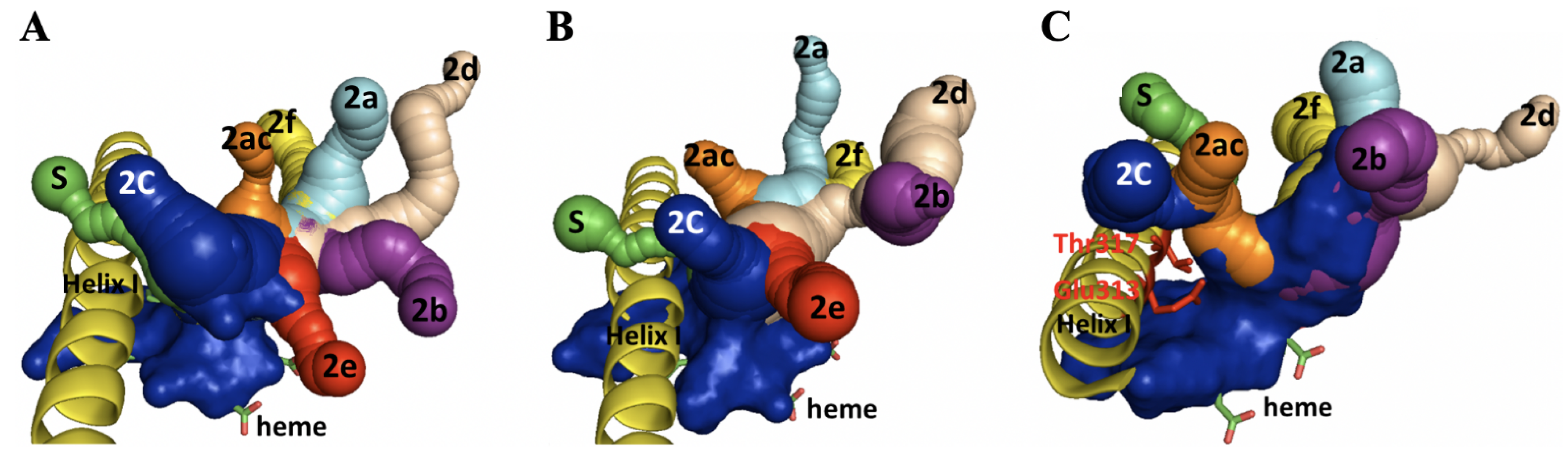 Ijms 24 03170 g005 Ijms 24 03170 g005