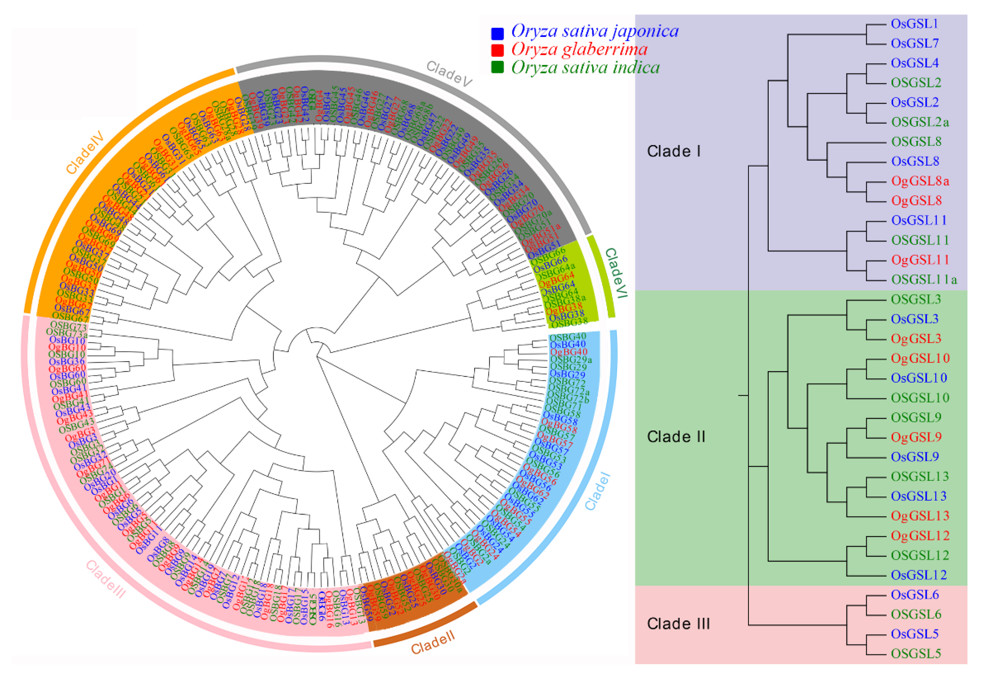 Ijms 24 03175 g002 Ijms 24 03175 g002