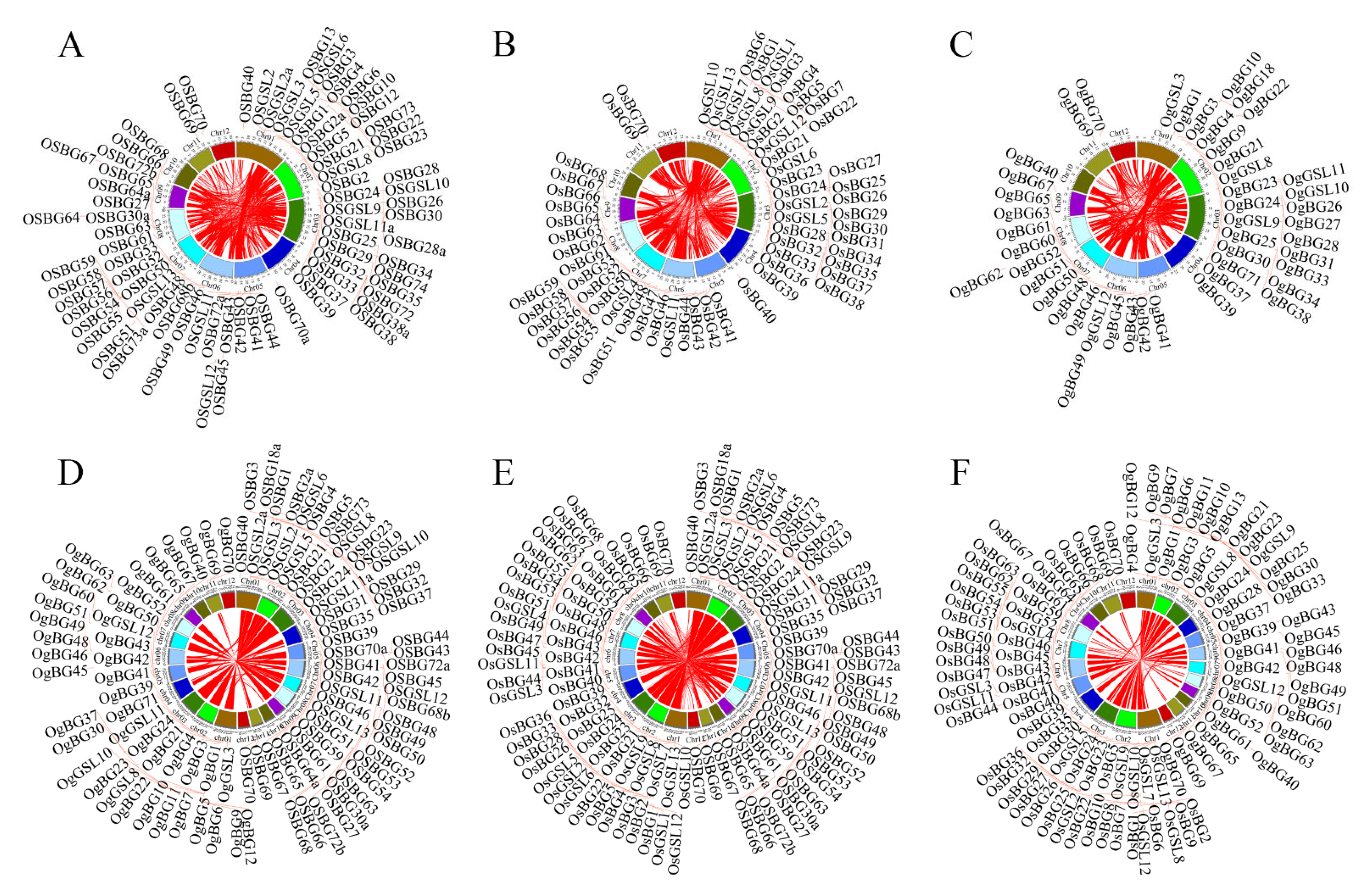 Ijms 24 03175 g003 Ijms 24 03175 g003
