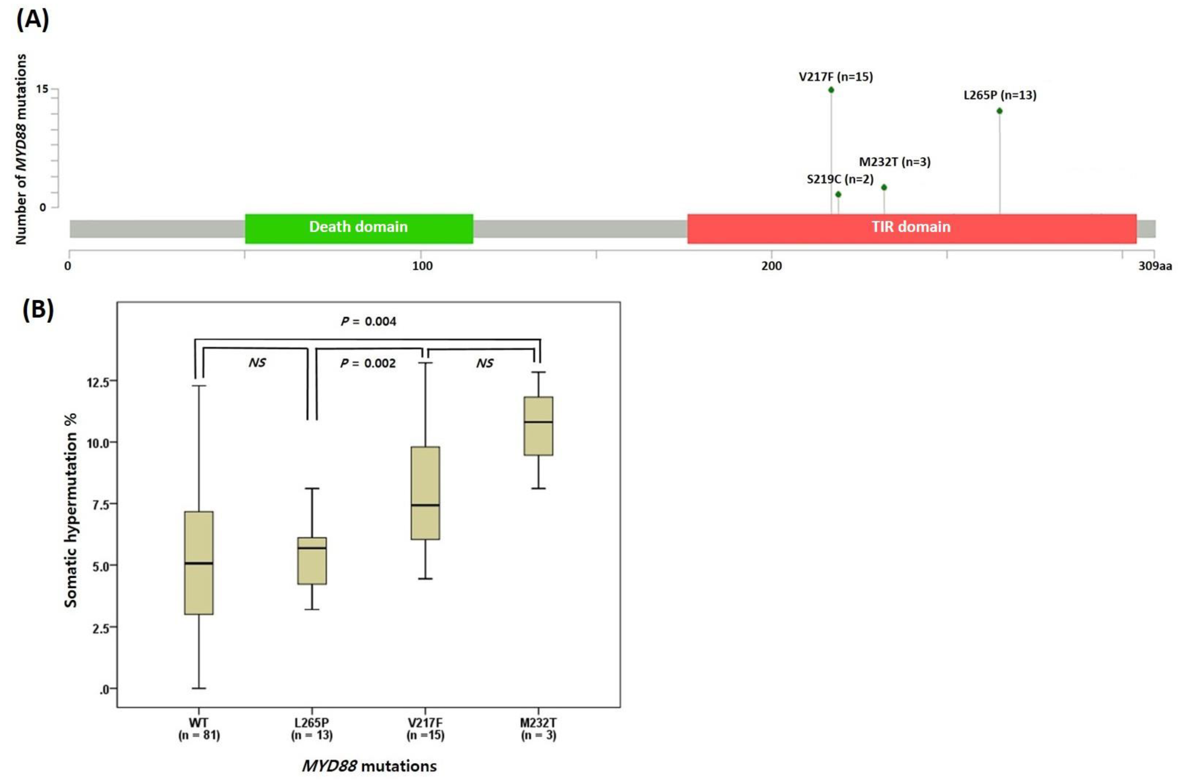 Ijms 24 03177 g002 Ijms 24 03177 g002