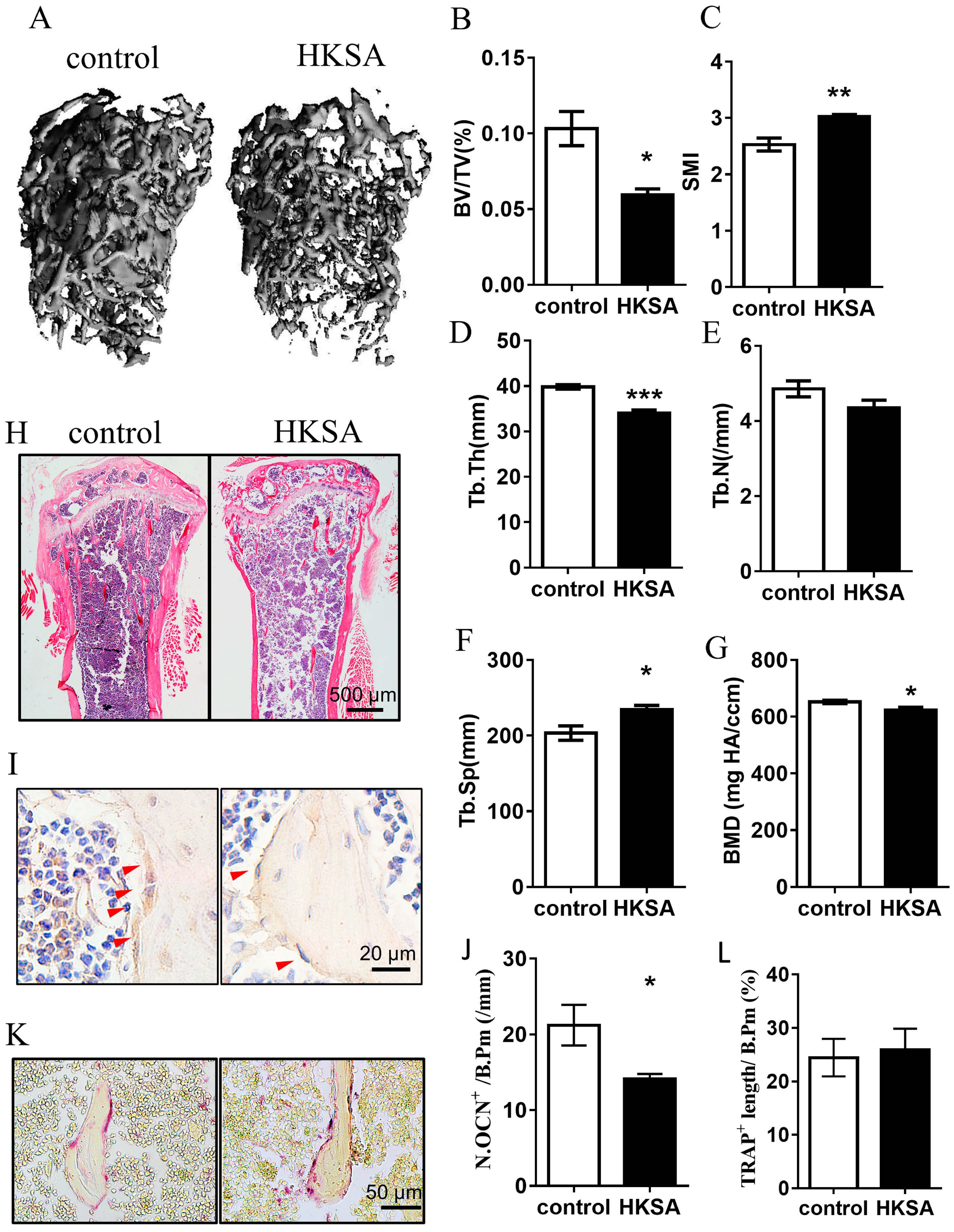 Ijms 24 03179 g001 Ijms 24 03179 g001