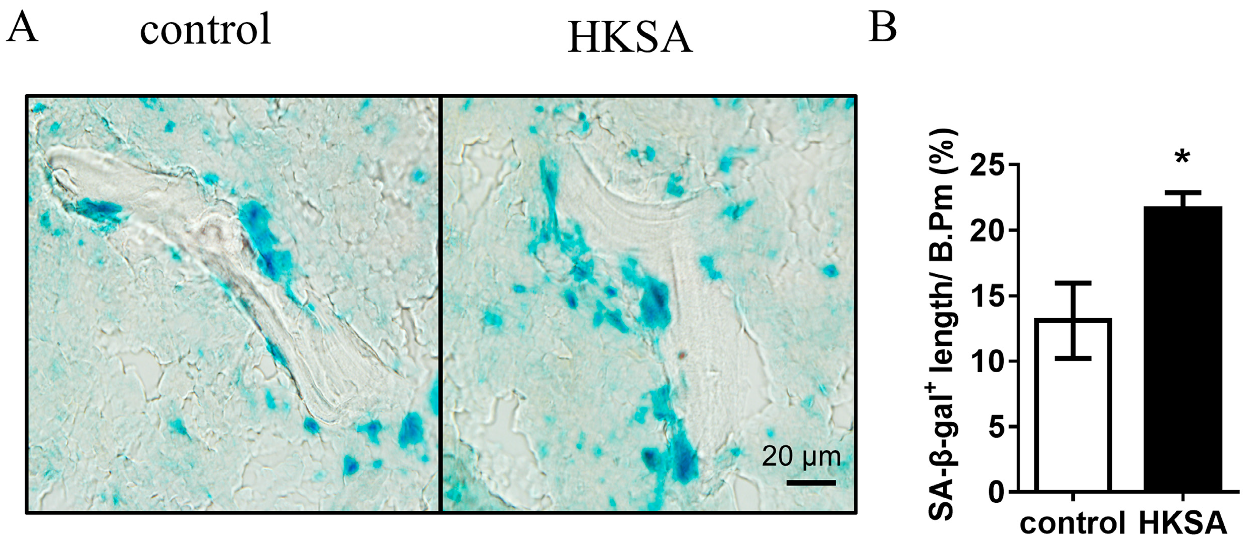 Ijms 24 03179 g002 Ijms 24 03179 g002