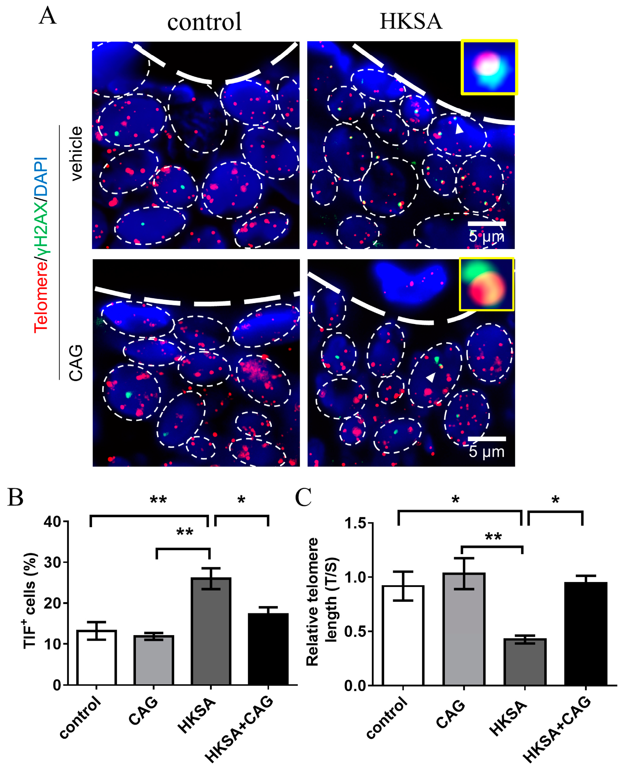 Ijms 24 03179 g004 Ijms 24 03179 g004