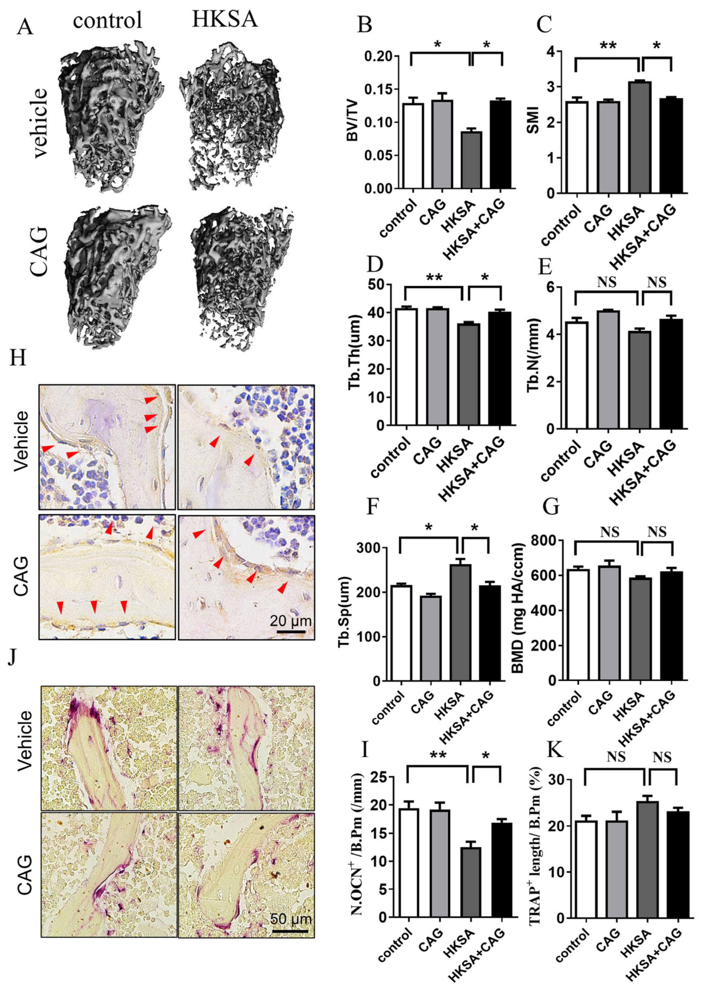 Ijms 24 03179 g006 Ijms 24 03179 g006