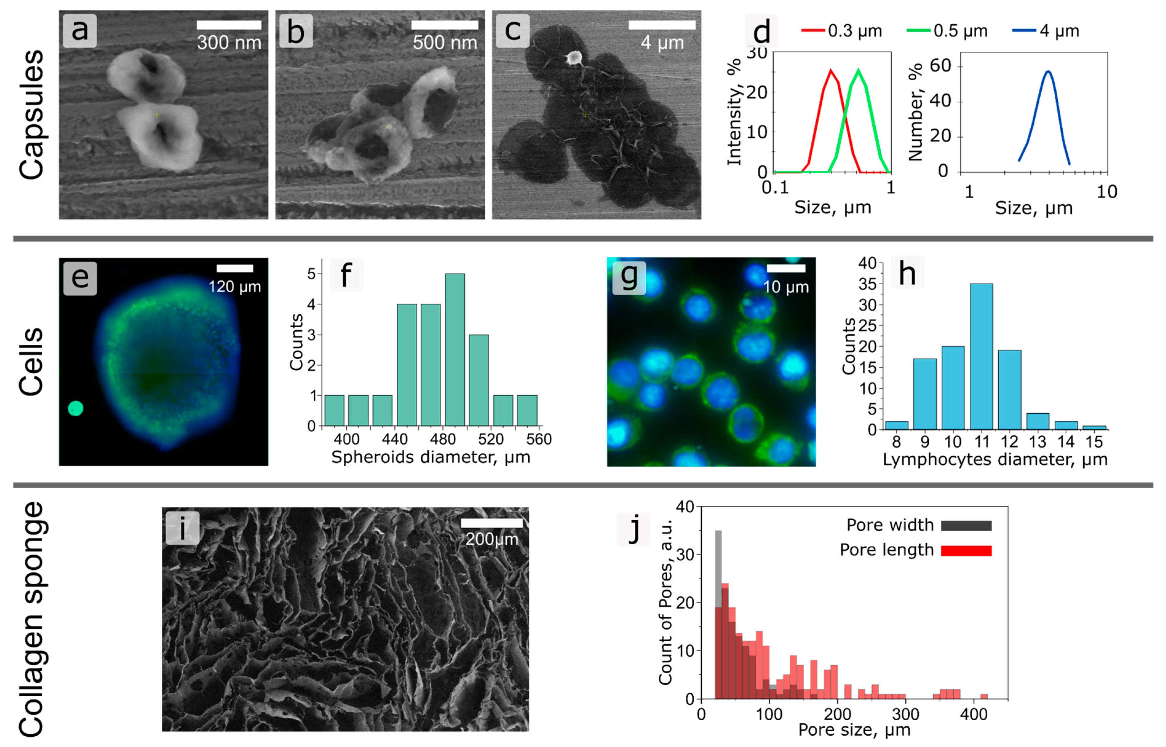 Ijms 24 03183 g002 Ijms 24 03183 g002
