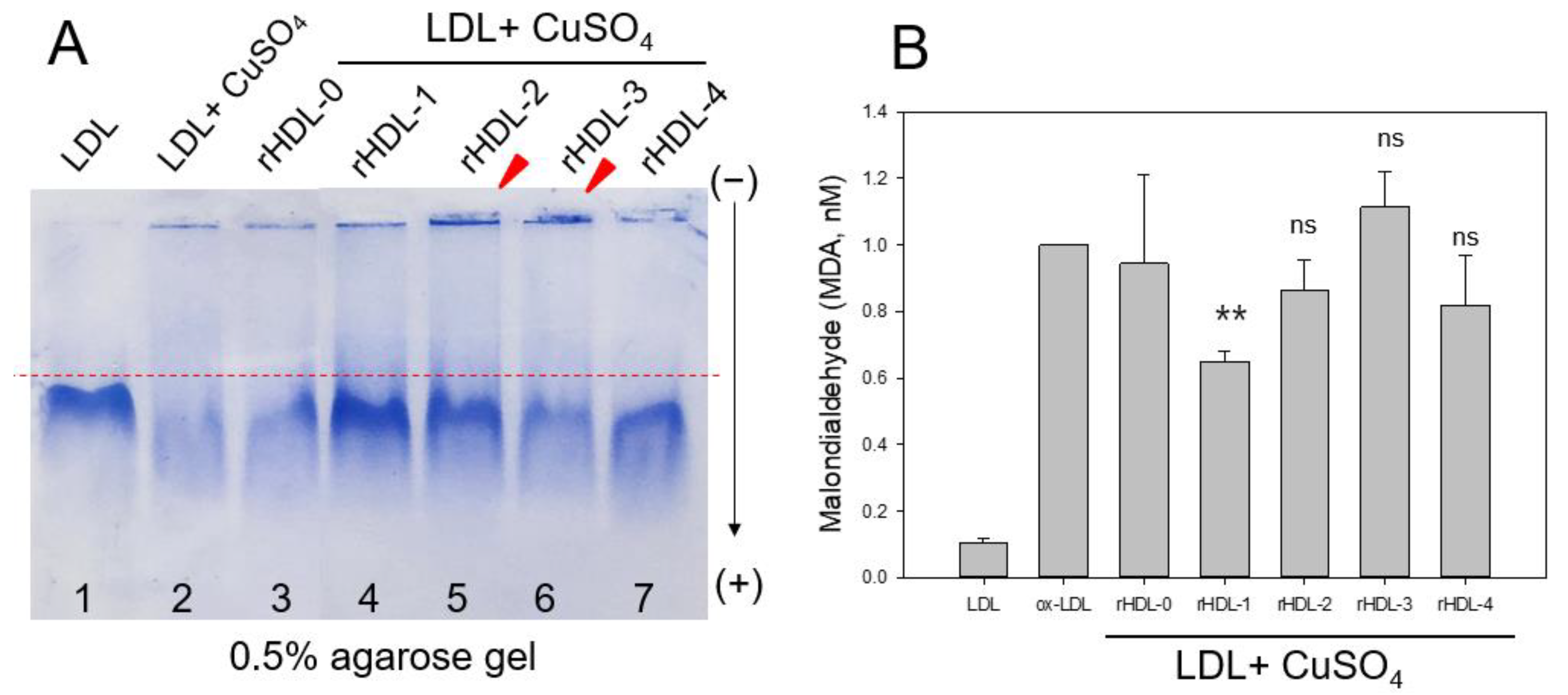 IJMS Free FullText Cuban Sugar Cane Wax Alcohol Exhibited Enhanced