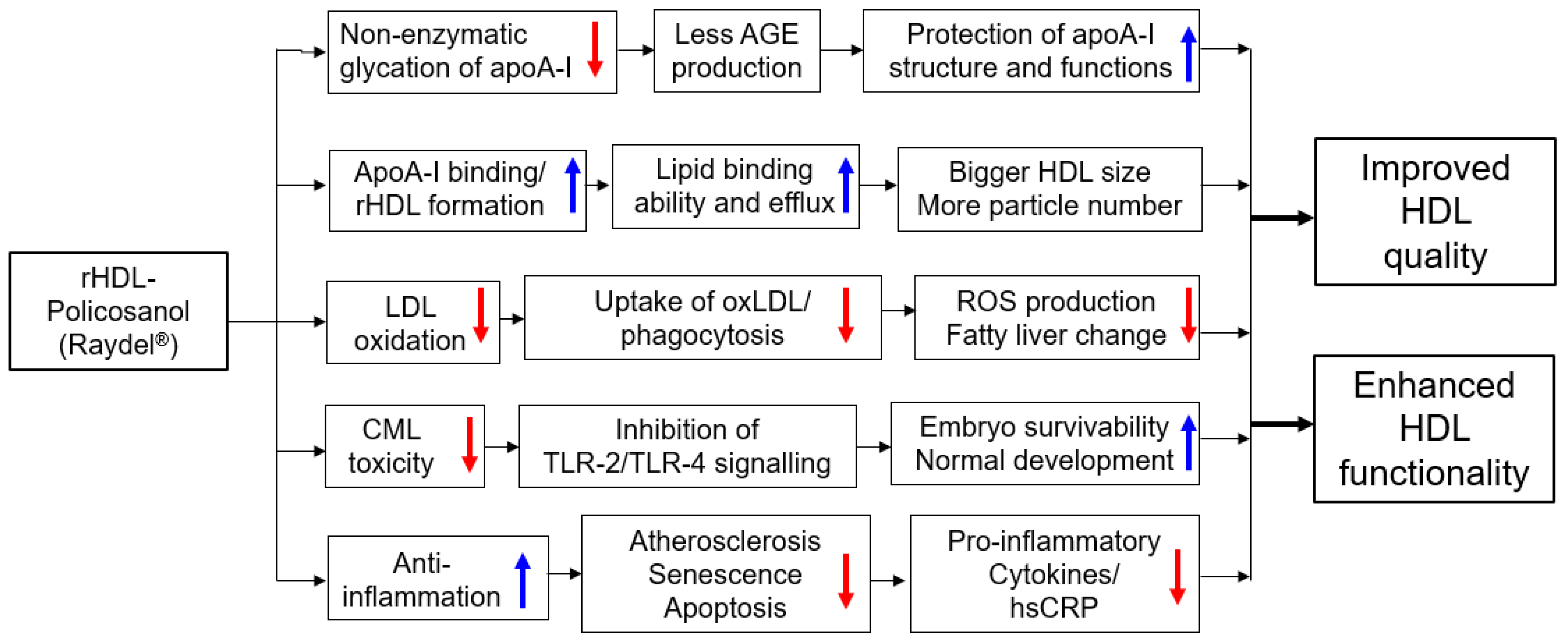 Ijms 24 03186 g007 Ijms 24 03186 g007