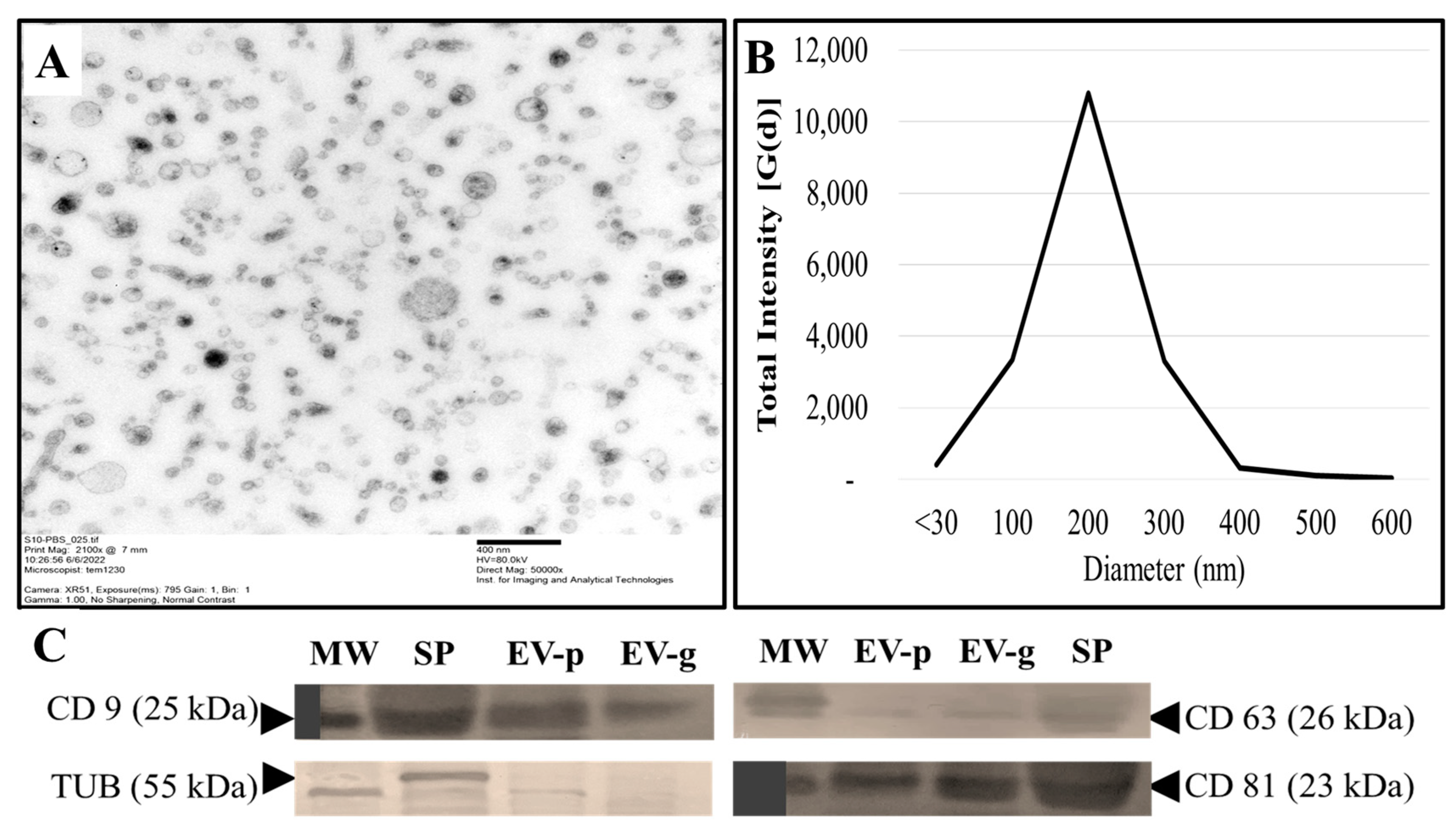 Ijms 24 03194 g001 Ijms 24 03194 g001