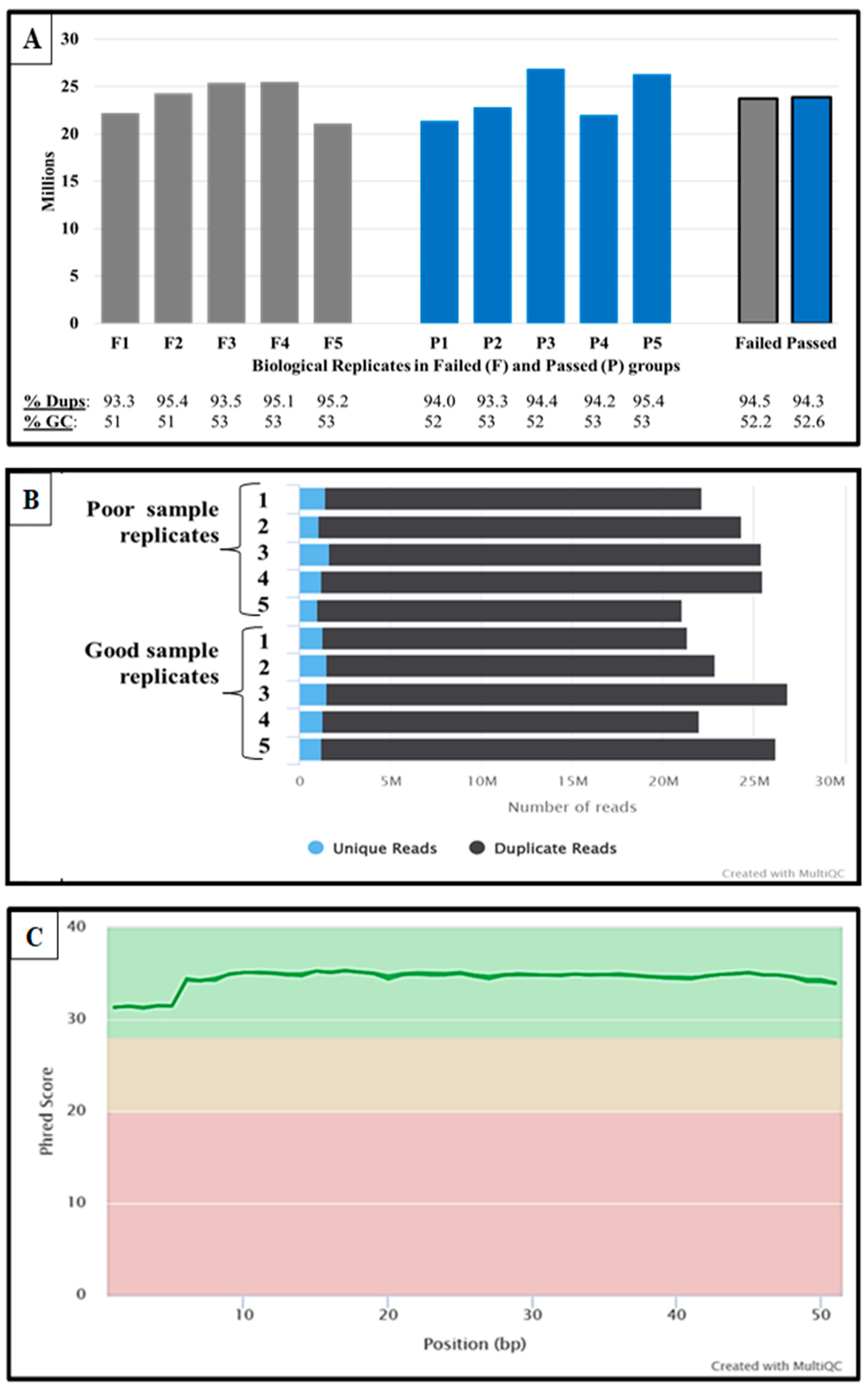 Ijms 24 03194 g002 Ijms 24 03194 g002