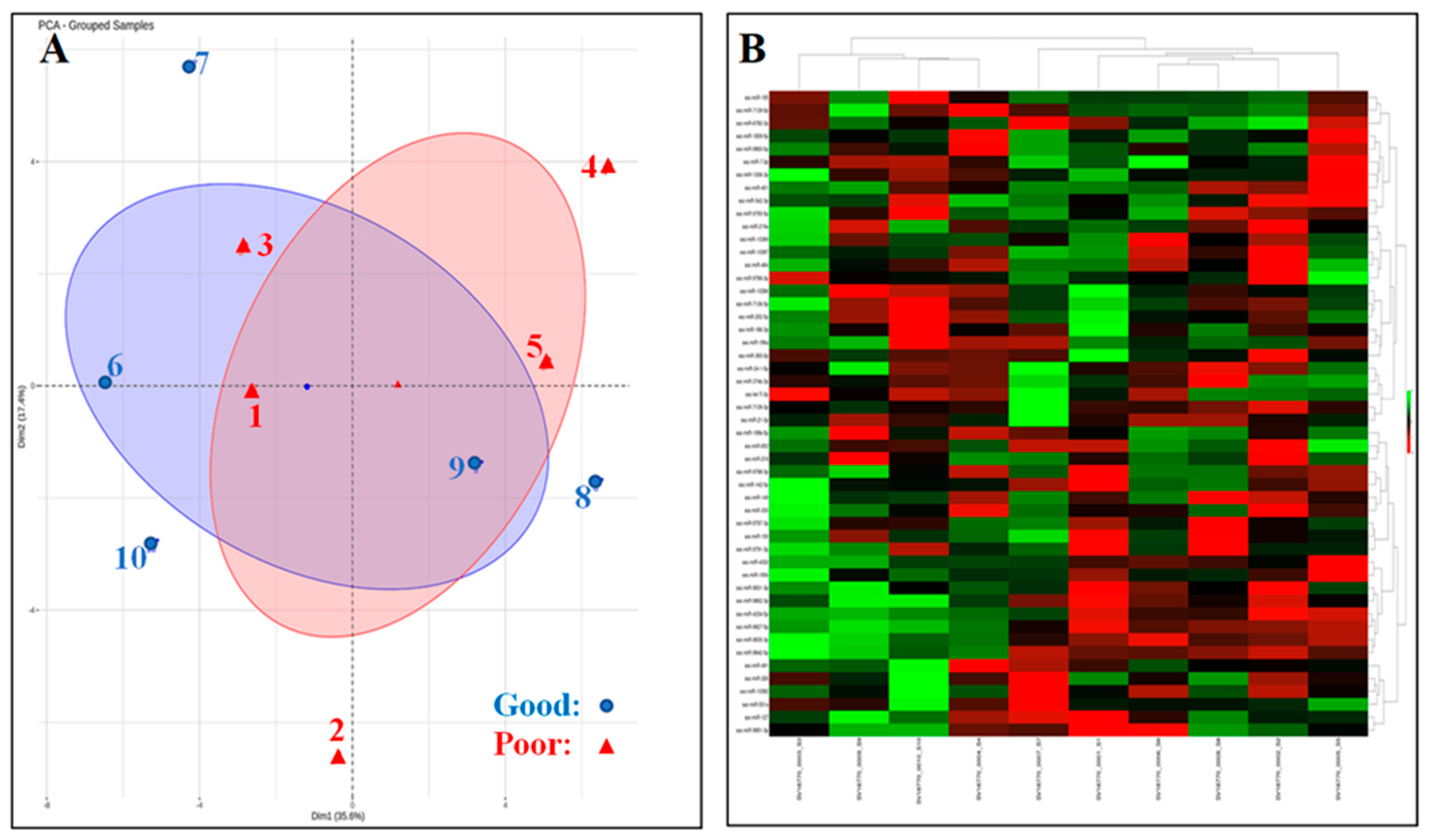 Ijms 24 03194 g003 Ijms 24 03194 g003