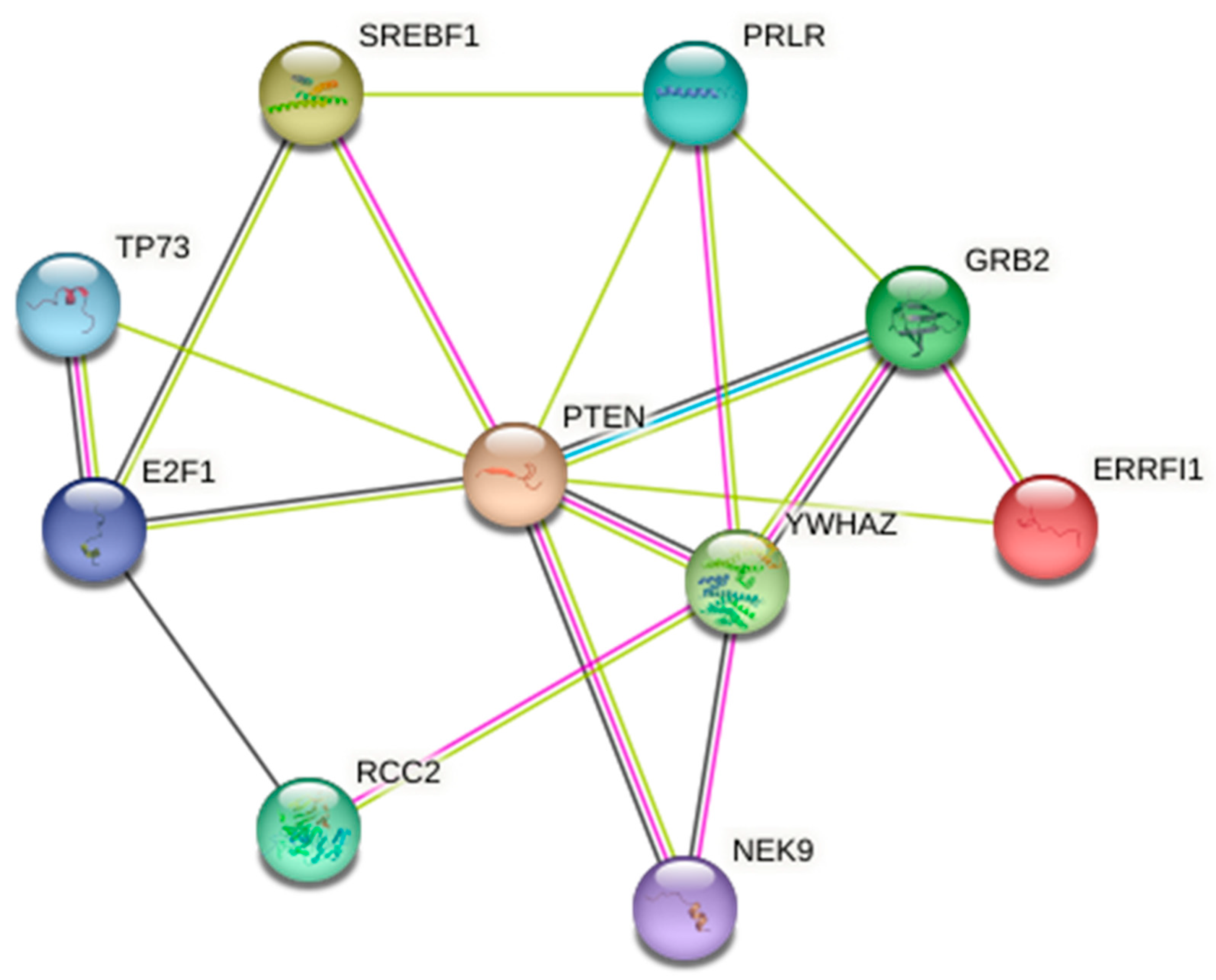 Ijms 24 03194 g006 Ijms 24 03194 g006