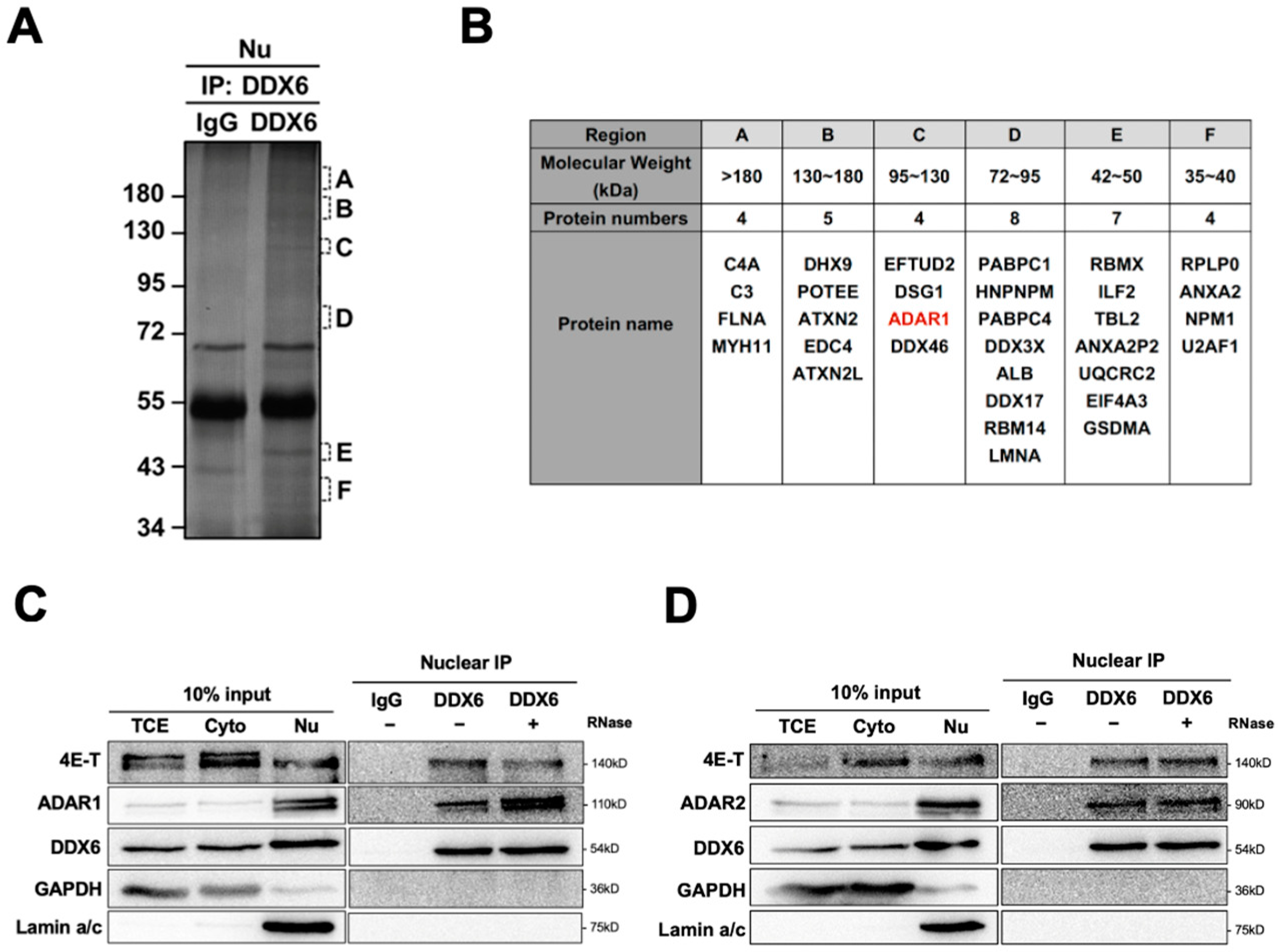 Ijms 24 03197 g001 Ijms 24 03197 g001