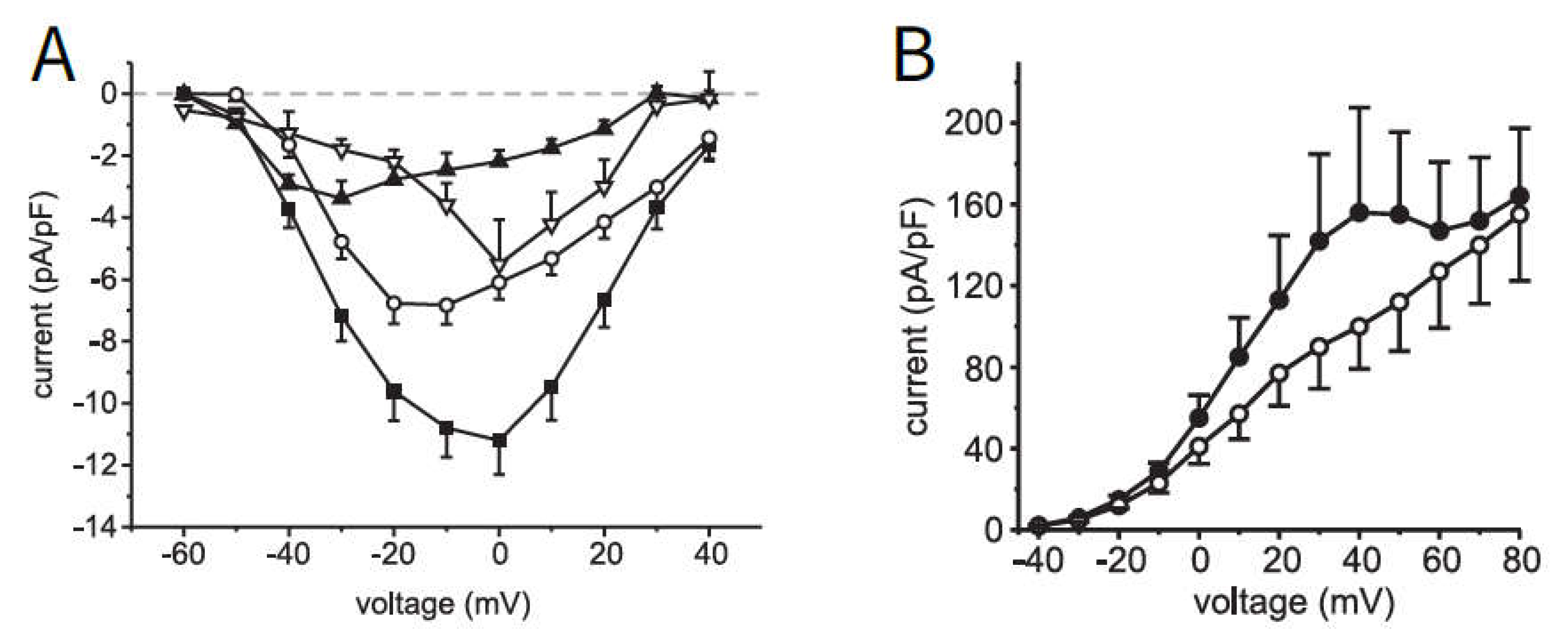 Ijms 24 03206 g001 Ijms 24 03206 g001