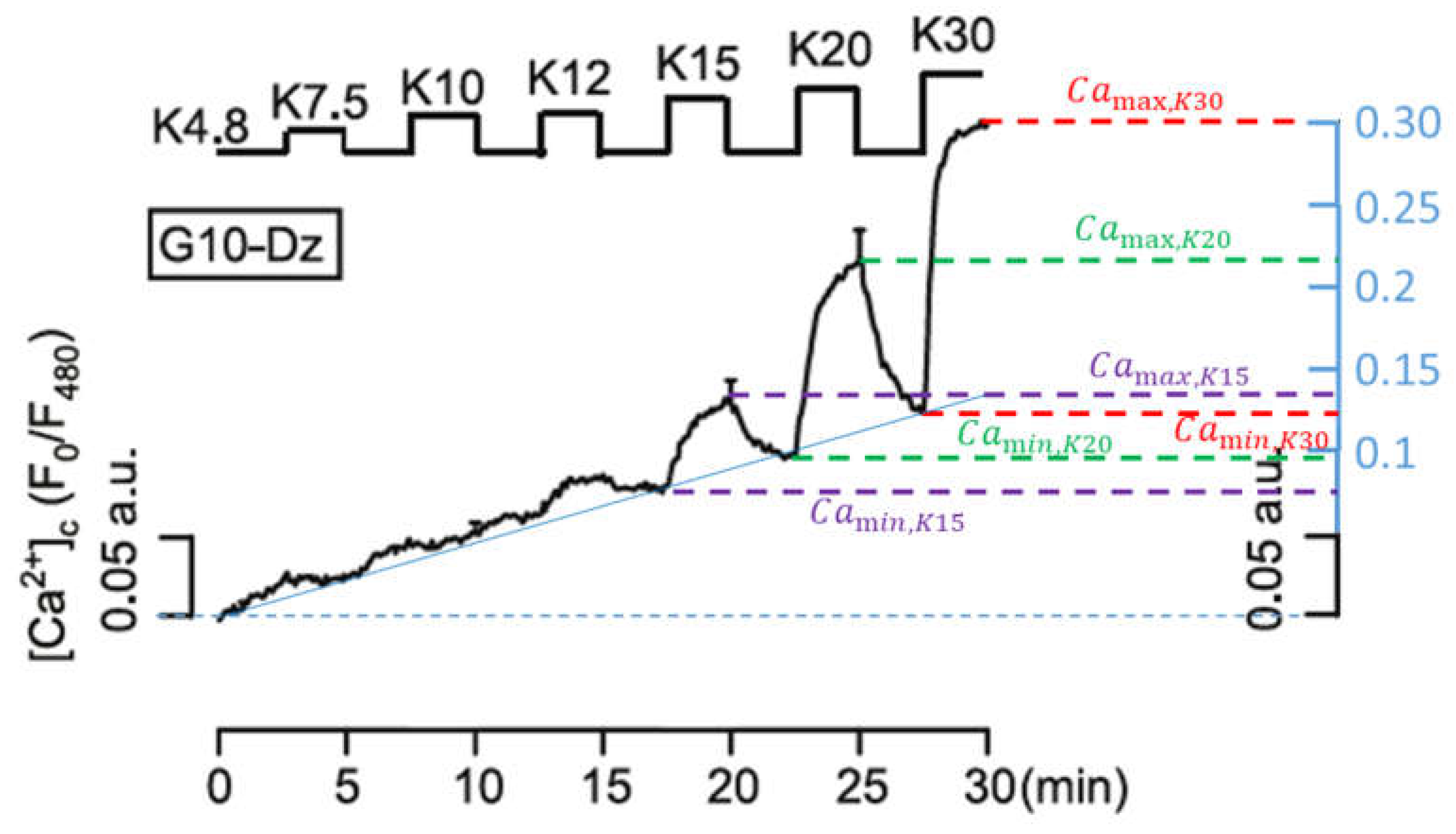 Ijms 24 03206 g007 Ijms 24 03206 g007