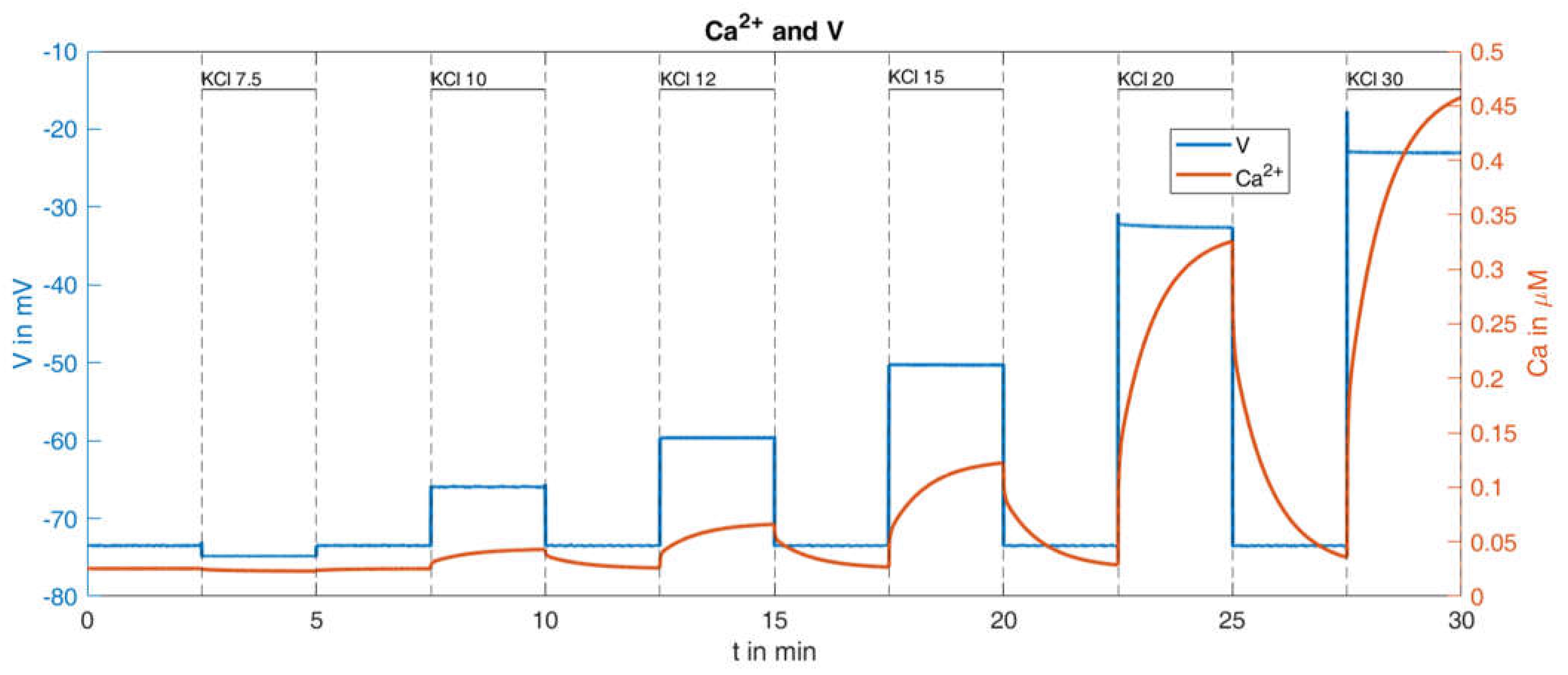 Ijms 24 03206 g010 Ijms 24 03206 g010