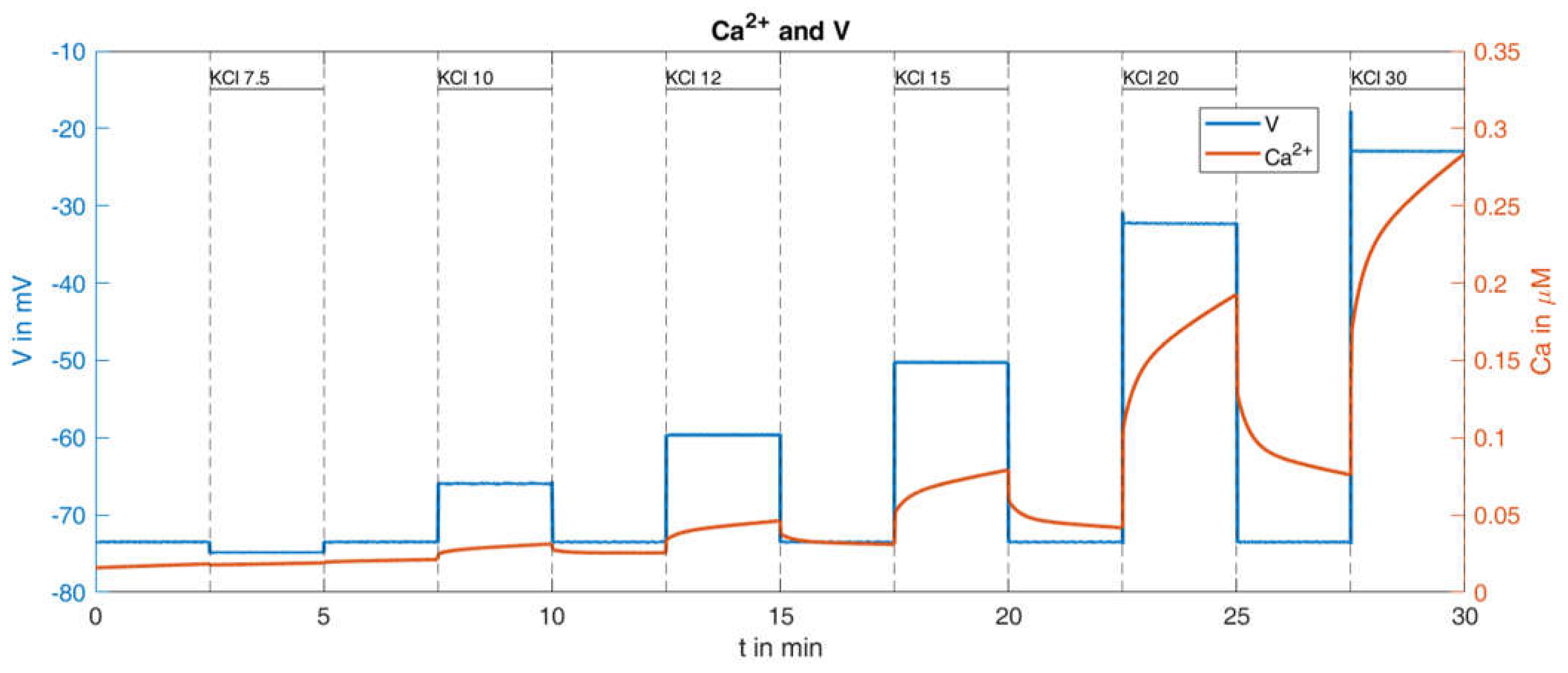 Ijms 24 03206 g011 Ijms 24 03206 g011