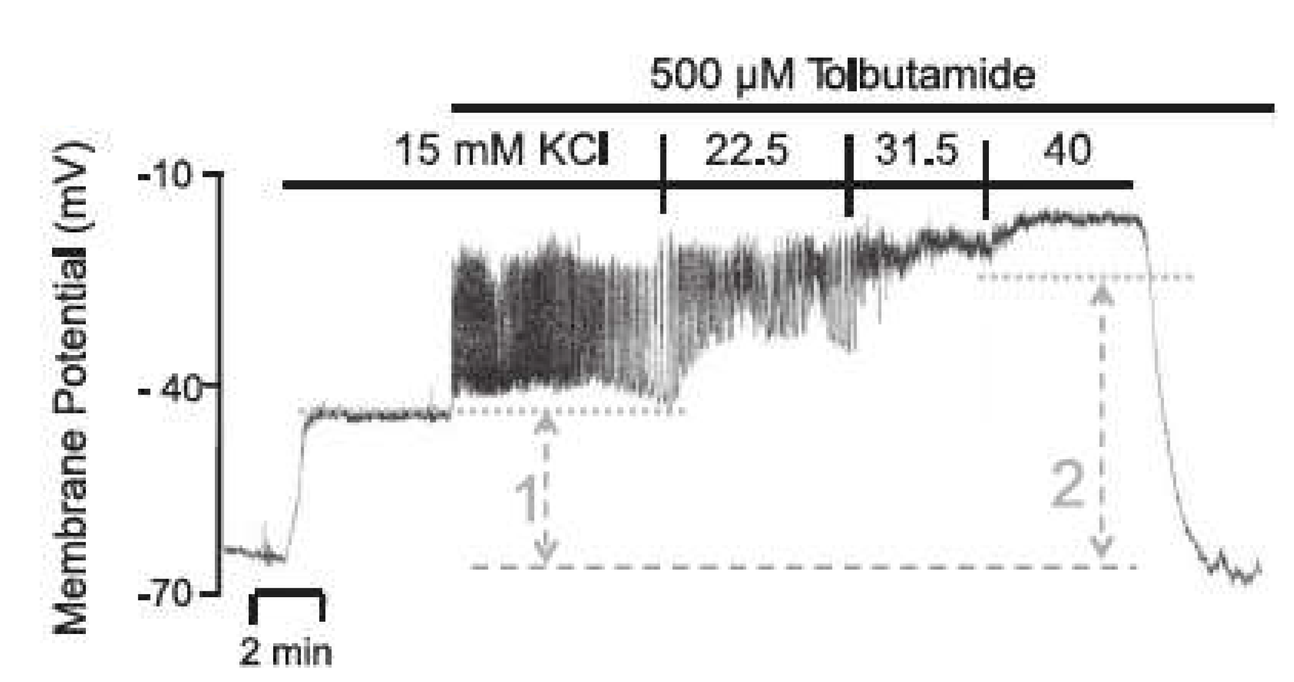 Ijms 24 03206 g012 Ijms 24 03206 g012