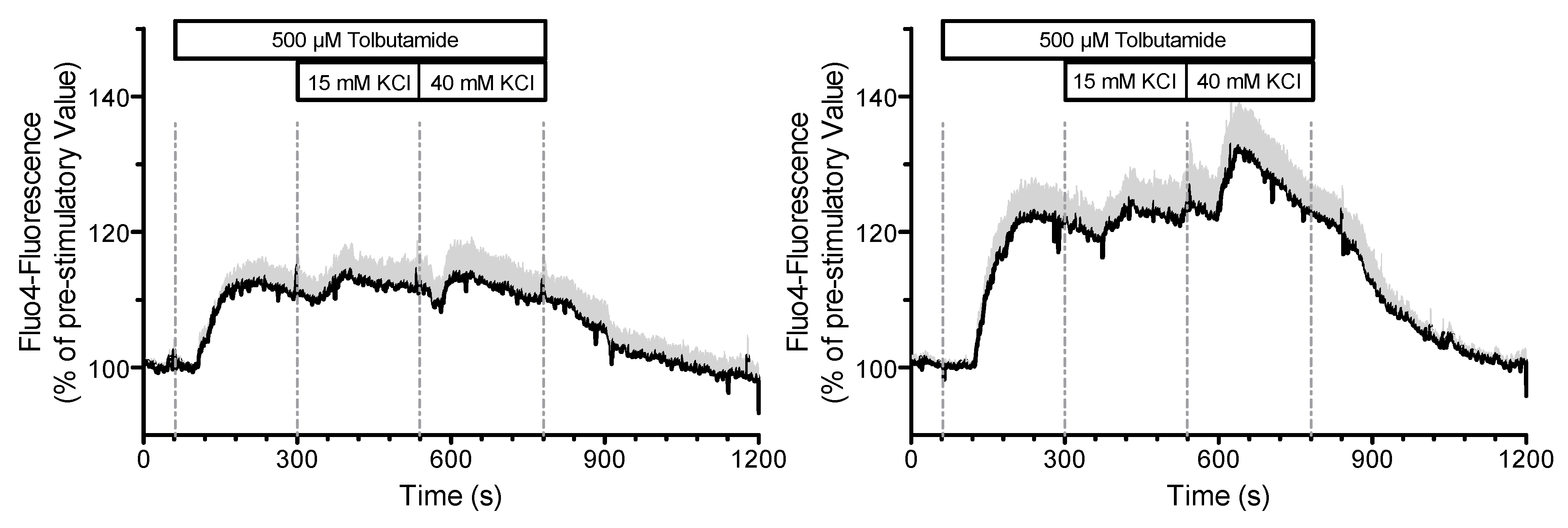 Ijms 24 03206 g014 Ijms 24 03206 g014