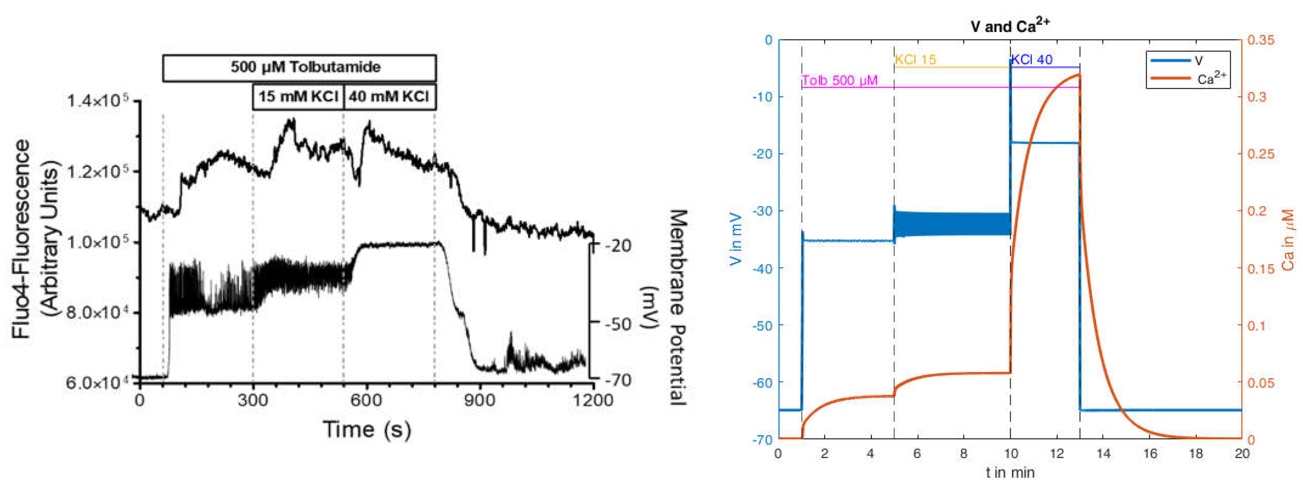 Ijms 24 03206 g015 Ijms 24 03206 g015