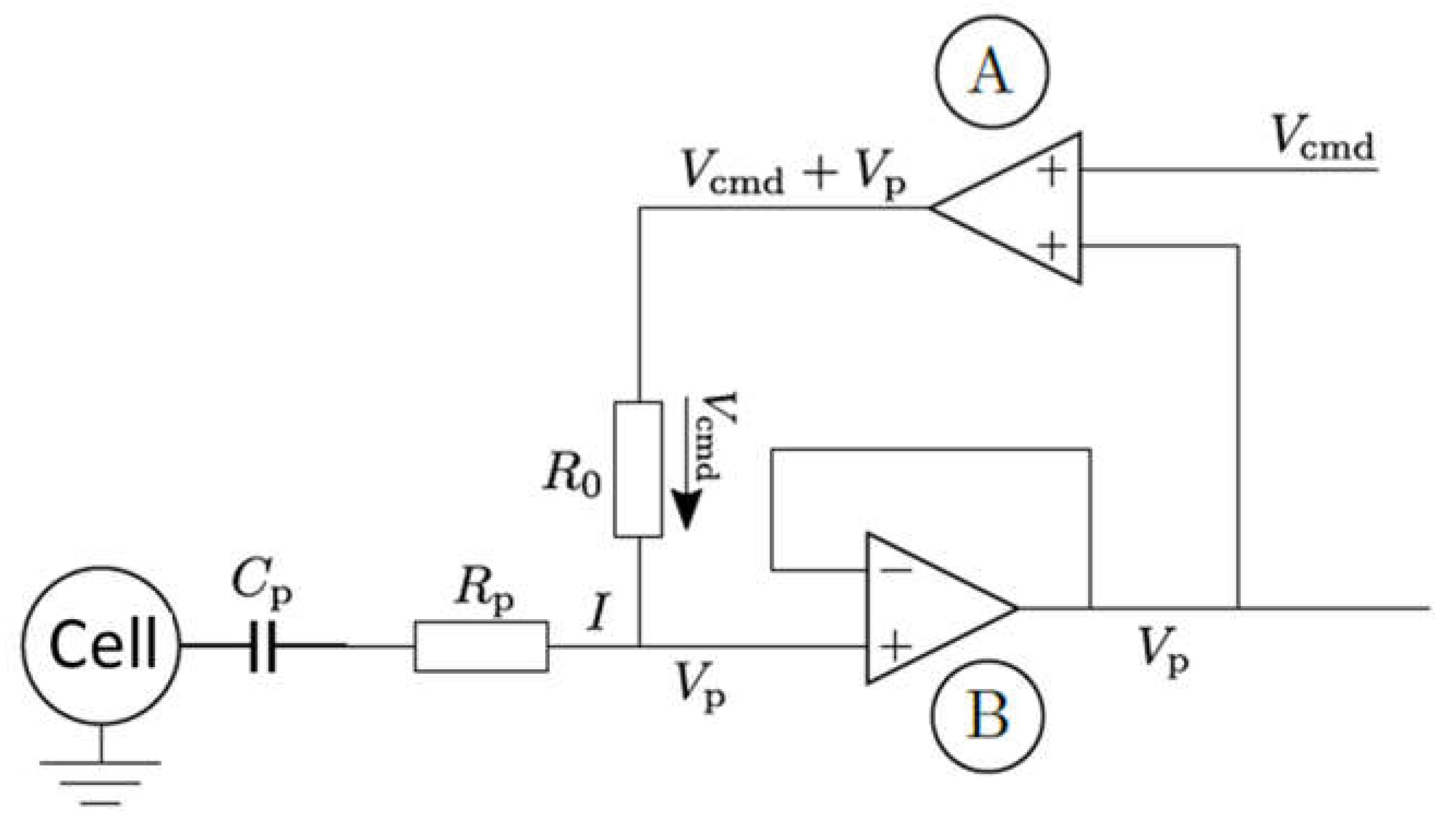 Ijms 24 03206 g016 Ijms 24 03206 g016