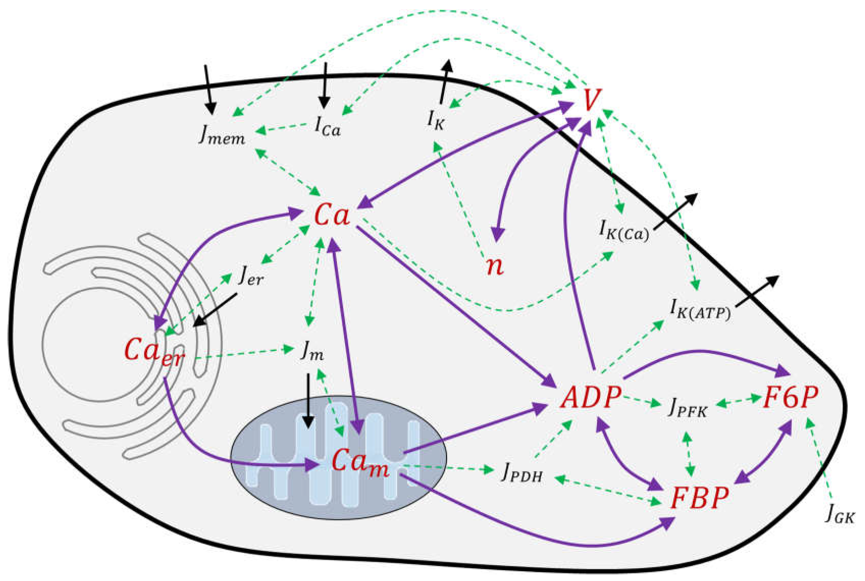 Ijms 24 03206 g018 Ijms 24 03206 g018
