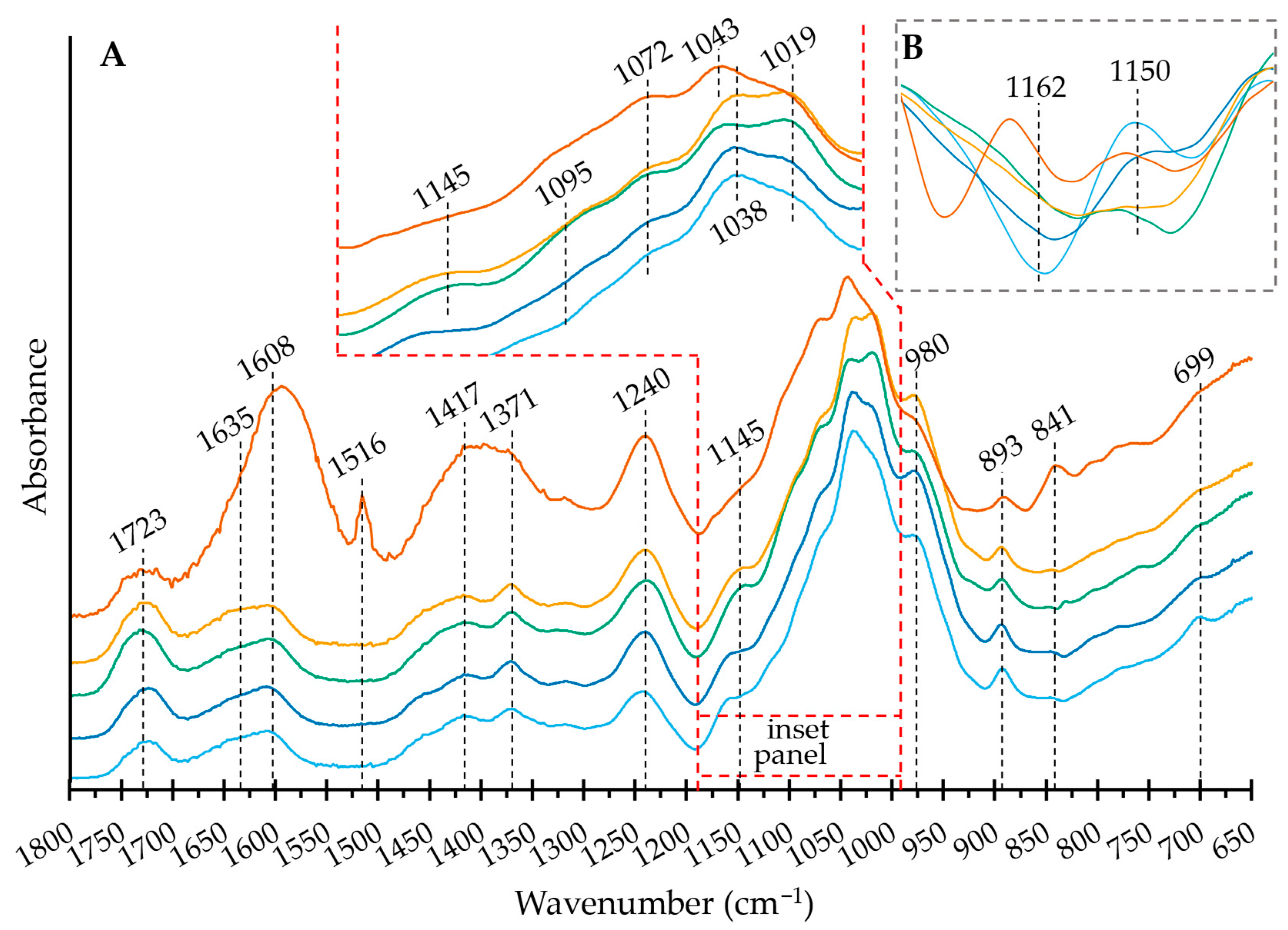 Ijms 24 03208 g003 Ijms 24 03208 g003