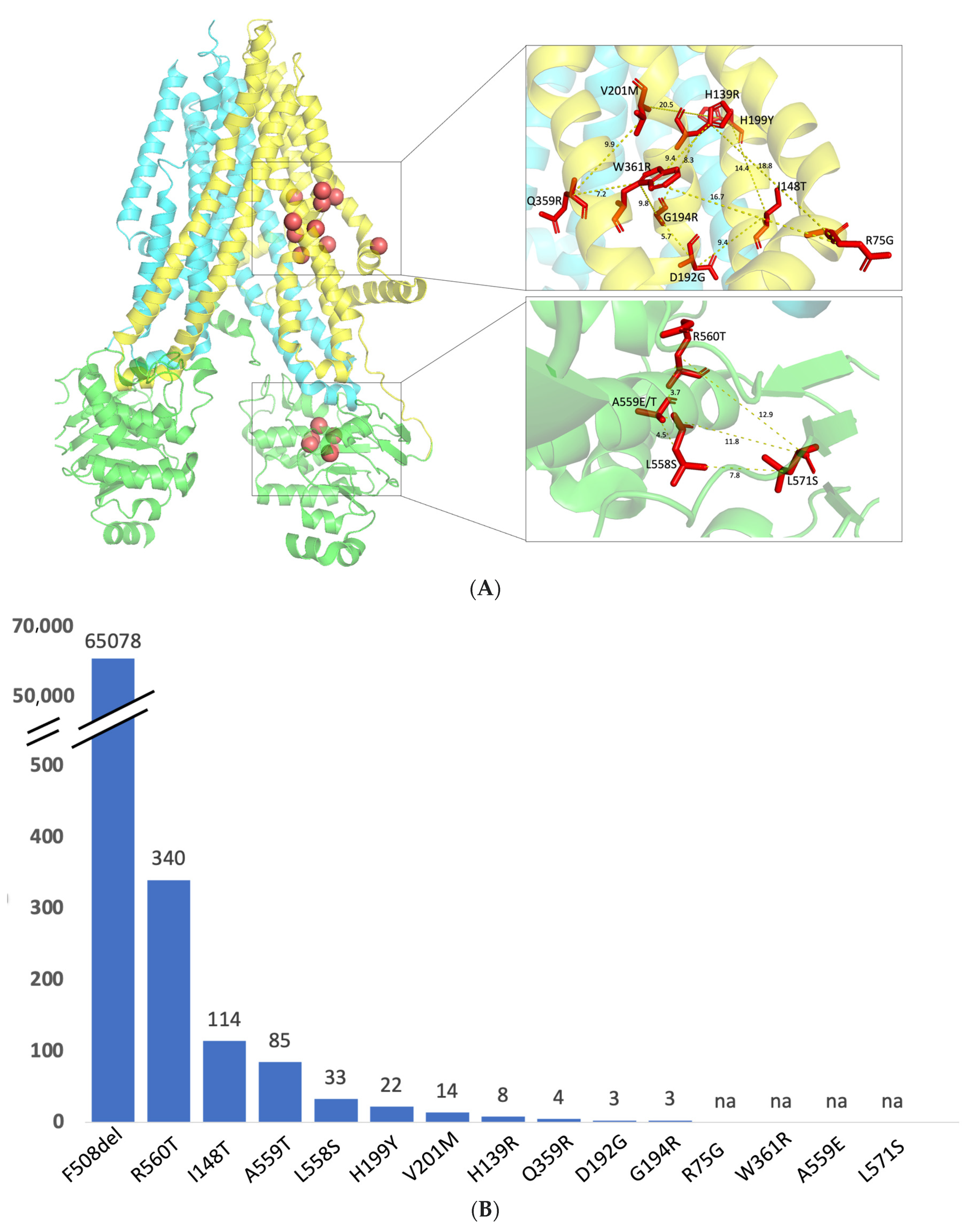 Ijms 24 03211 g002 Ijms 24 03211 g002
