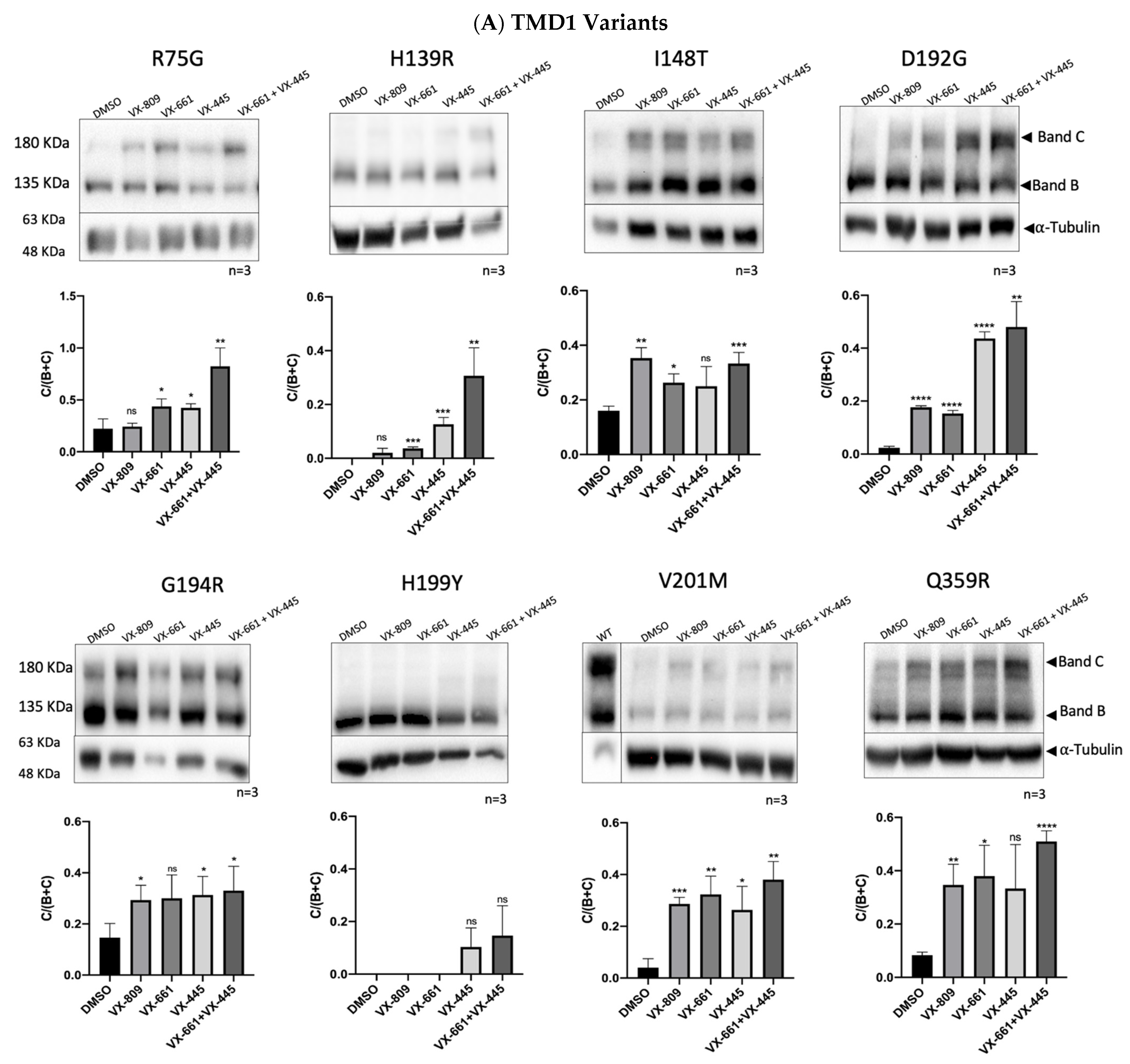 Ijms 24 03211 g003a Ijms 24 03211 g003a