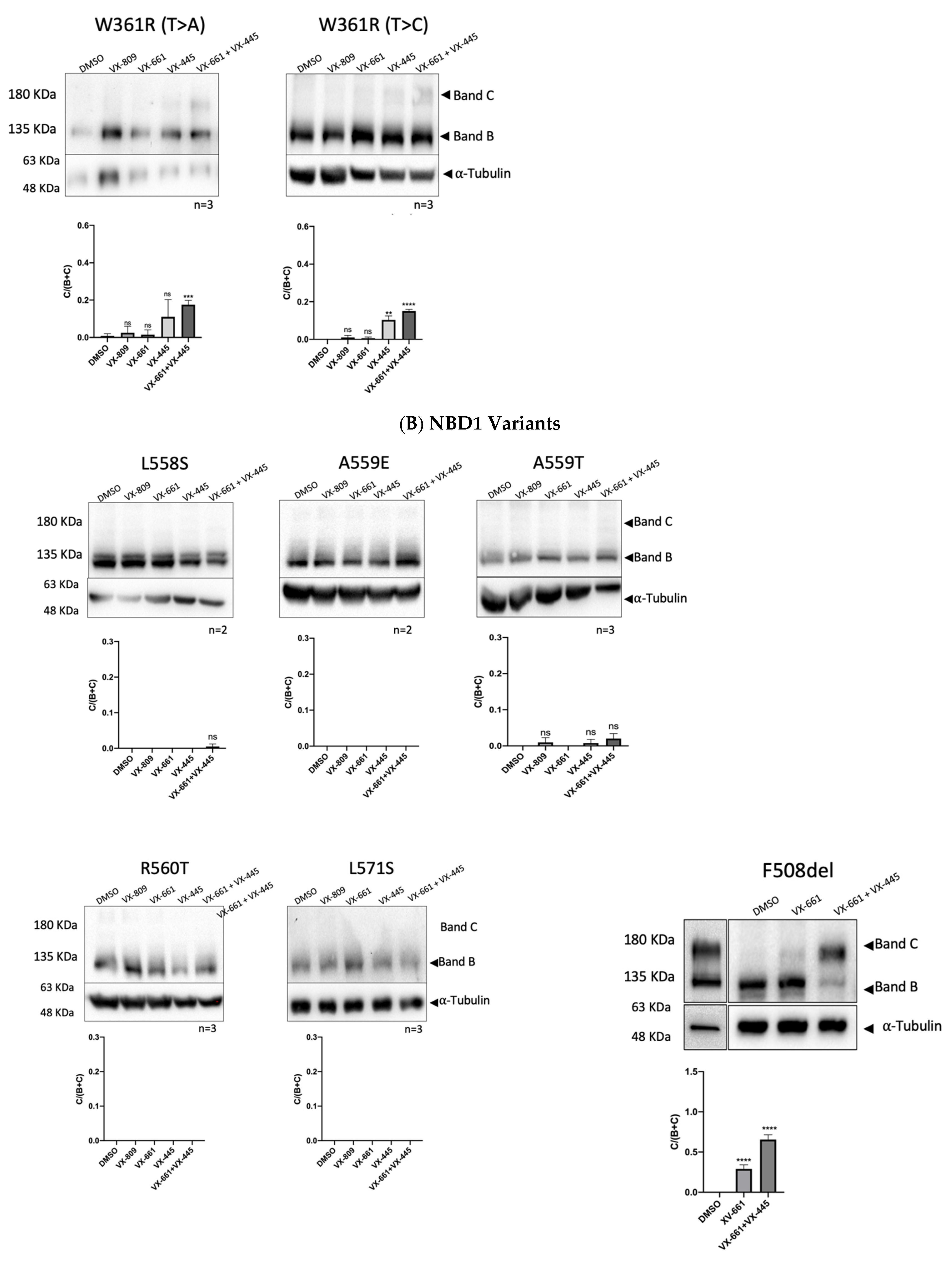 Ijms 24 03211 g003b Ijms 24 03211 g003b