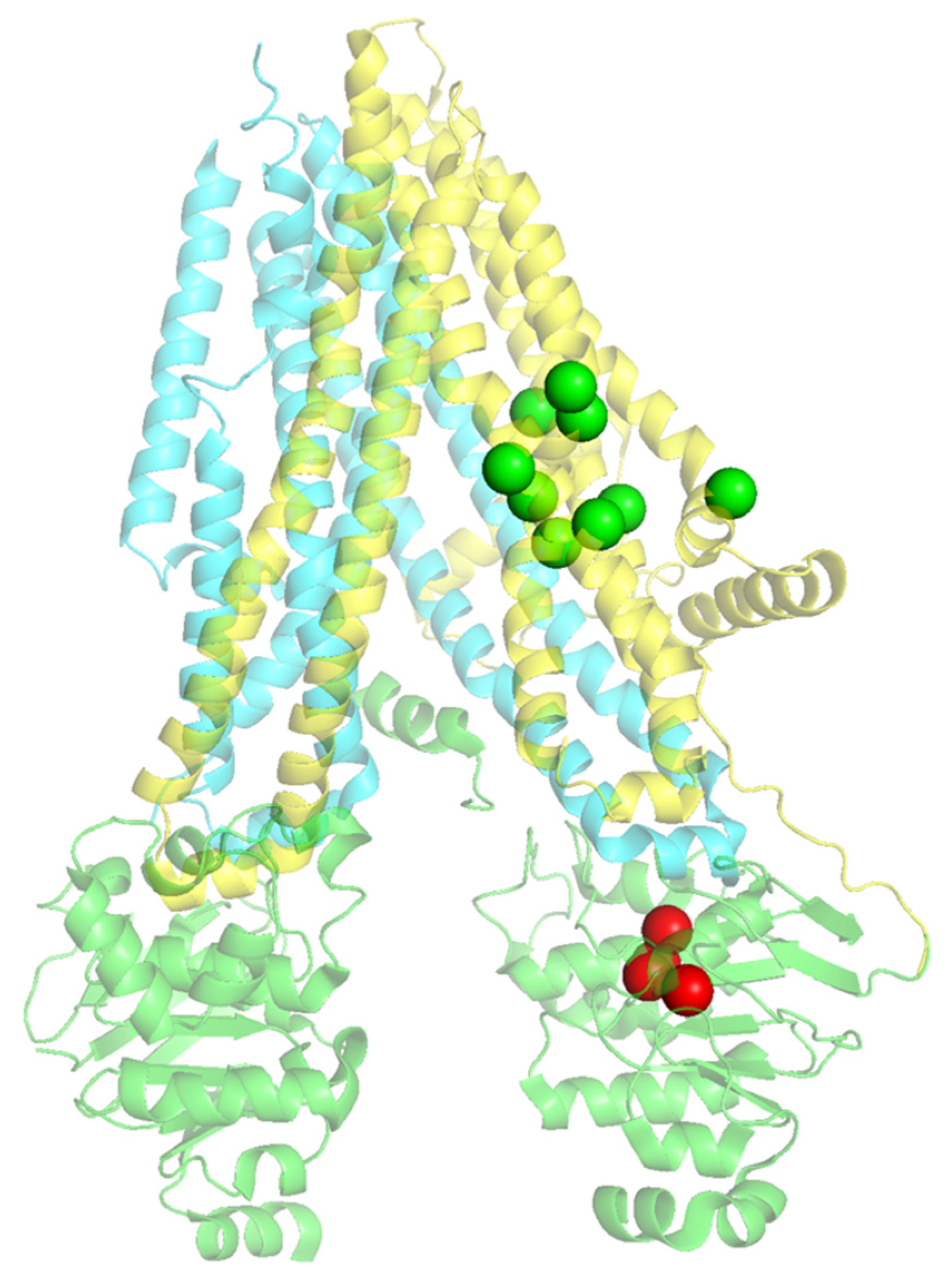 Ijms 24 03211 g004 Ijms 24 03211 g004