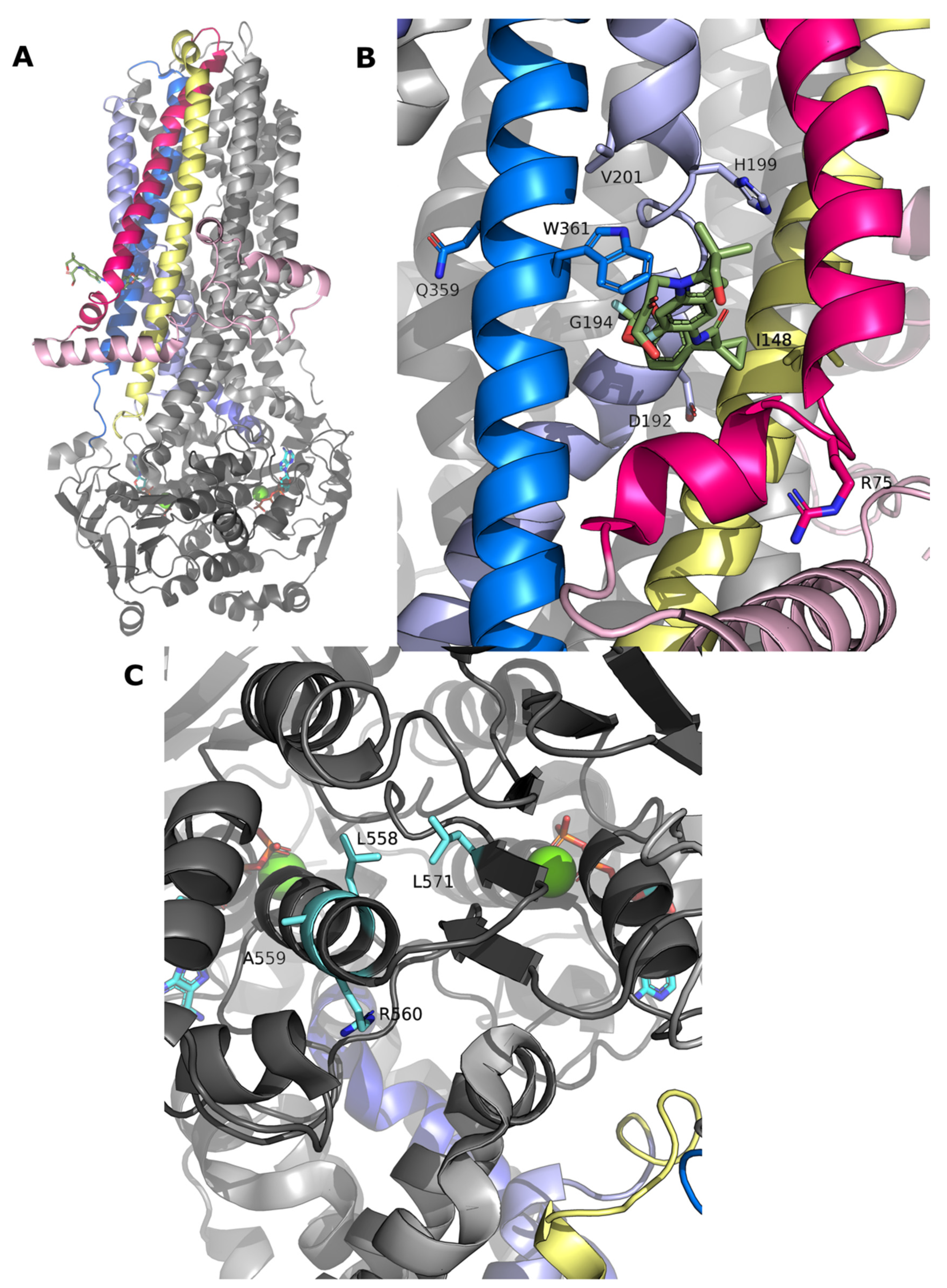 Ijms 24 03211 g009 Ijms 24 03211 g009