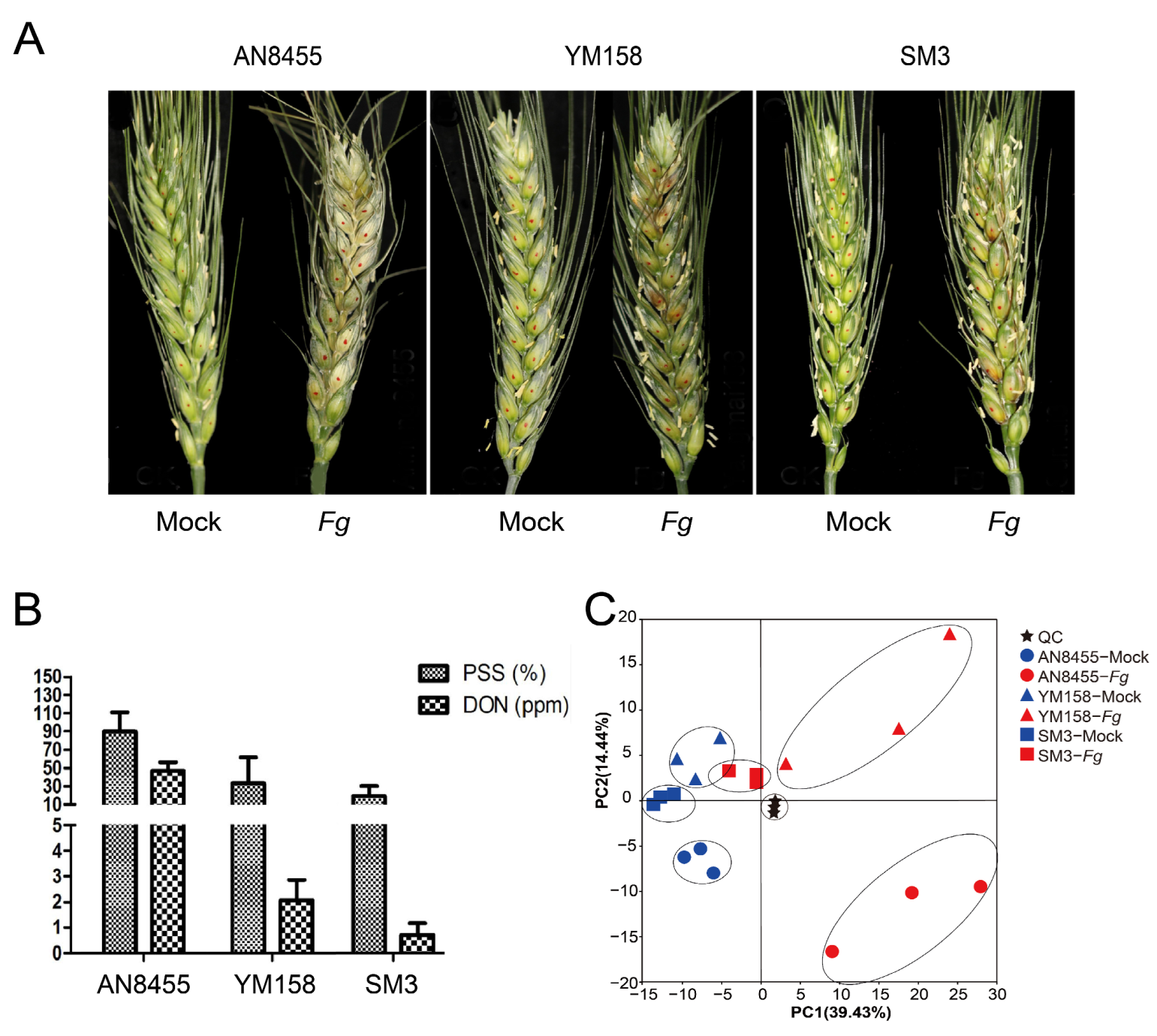 Ijms 24 03214 g001 Ijms 24 03214 g001